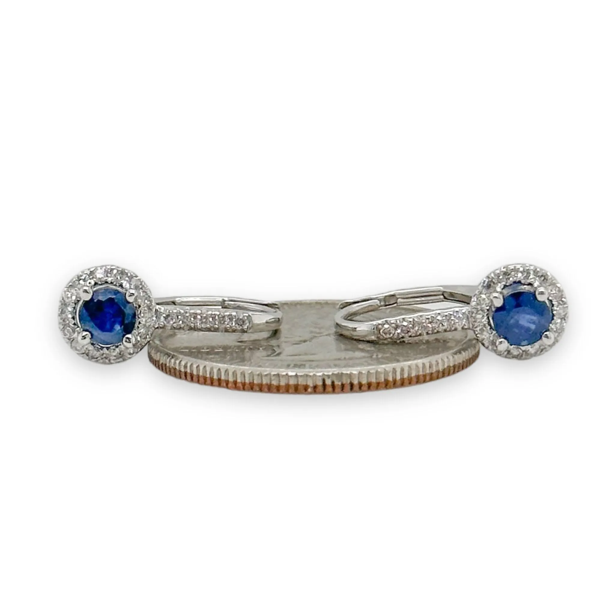 14K W Gold 0.25cttw H/SI2 Diamond and 0.65cttw Sapphire Earrings