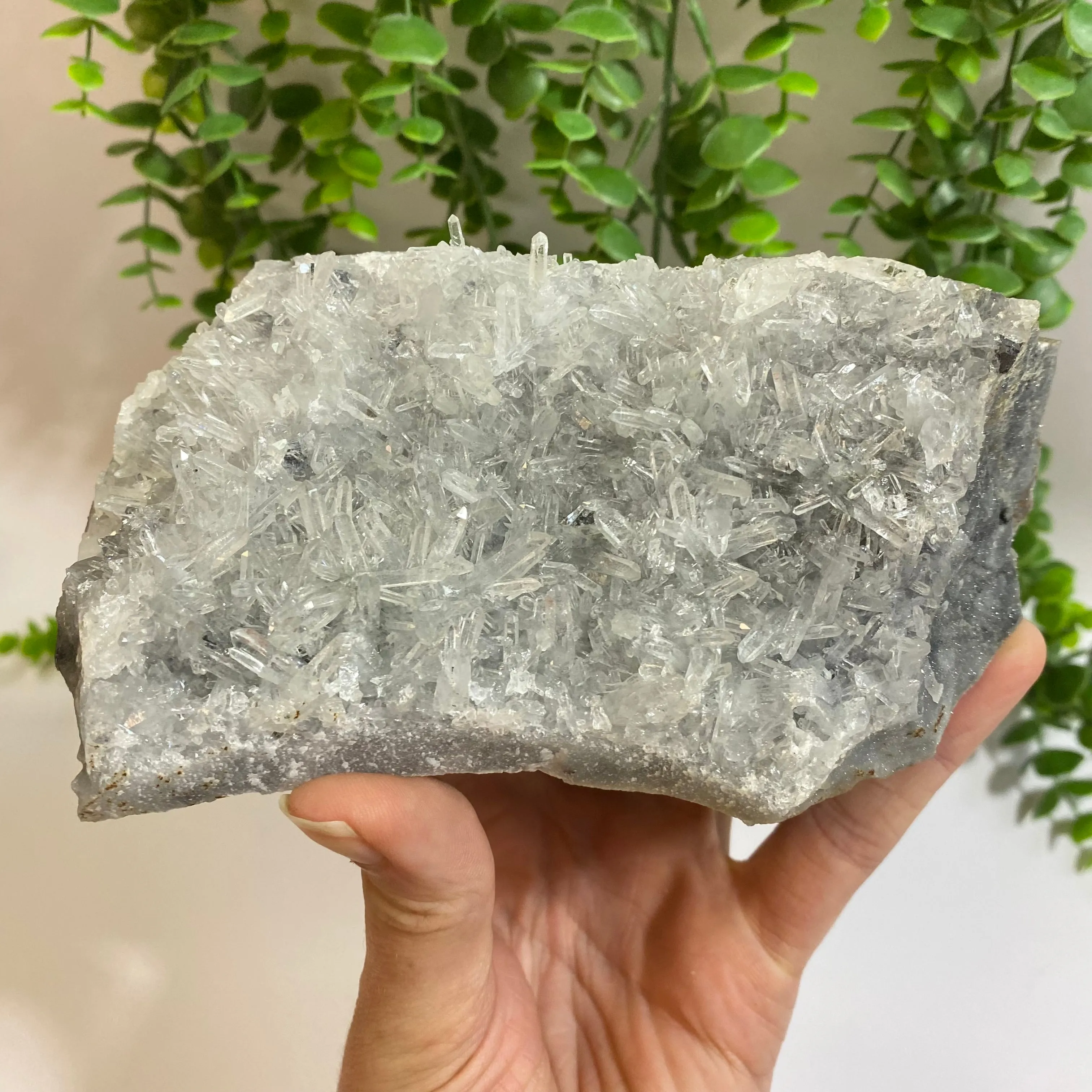 Bulgarian Quartz Cluster