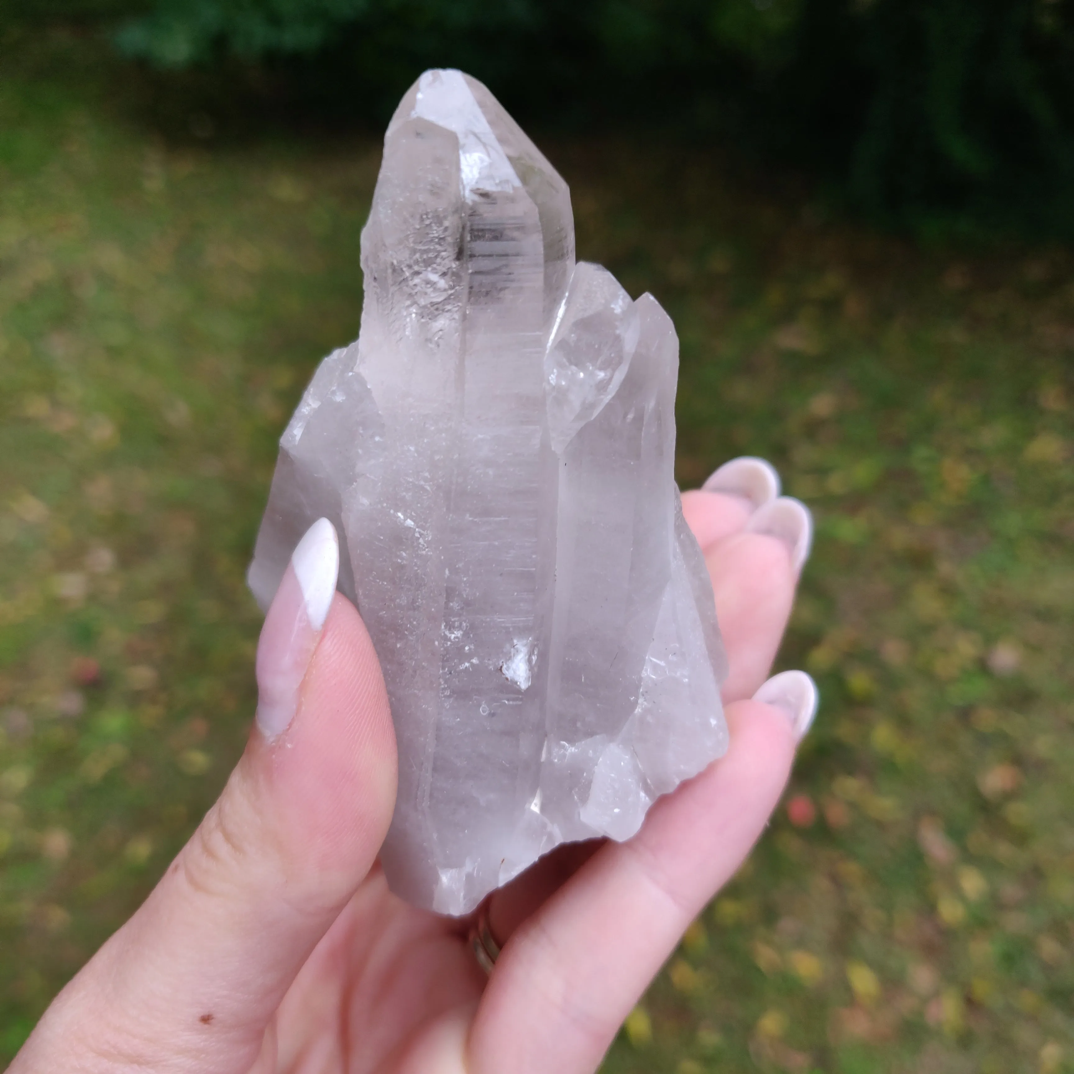 Lemurian Smoky Quartz Cluster (#12)
