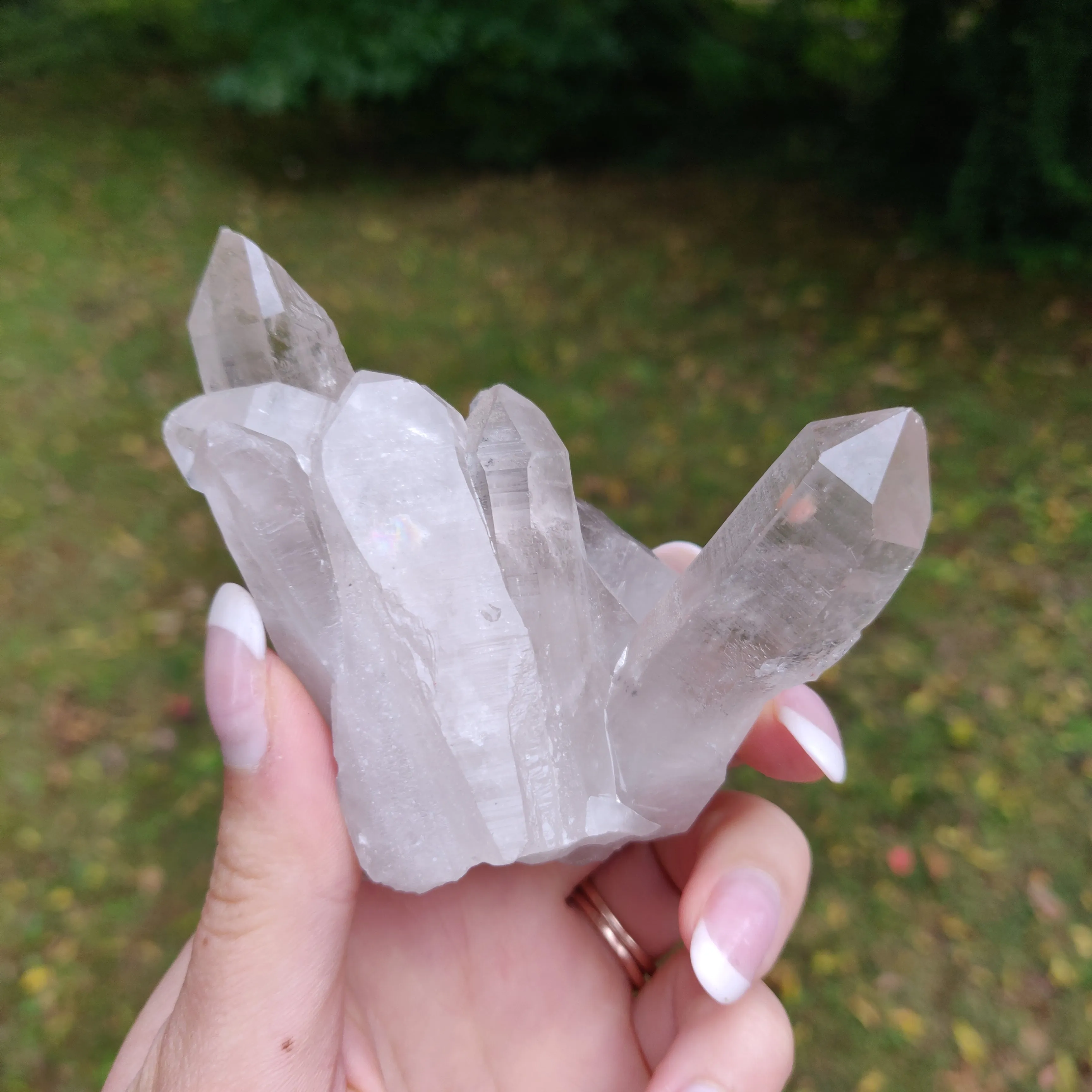Lemurian Smoky Quartz Cluster (#12)