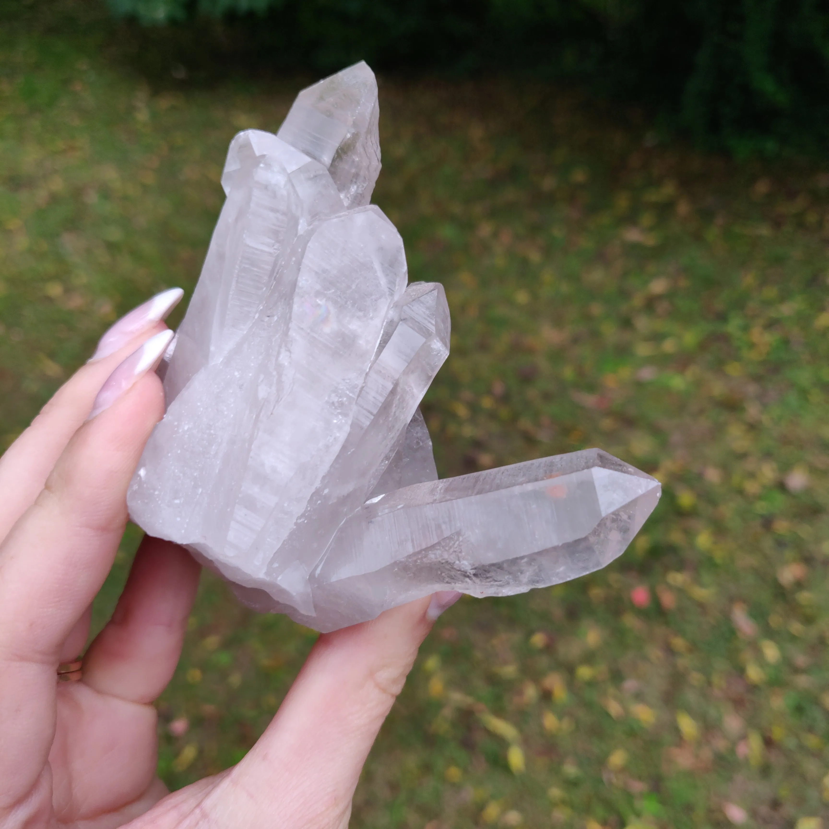 Lemurian Smoky Quartz Cluster (#12)