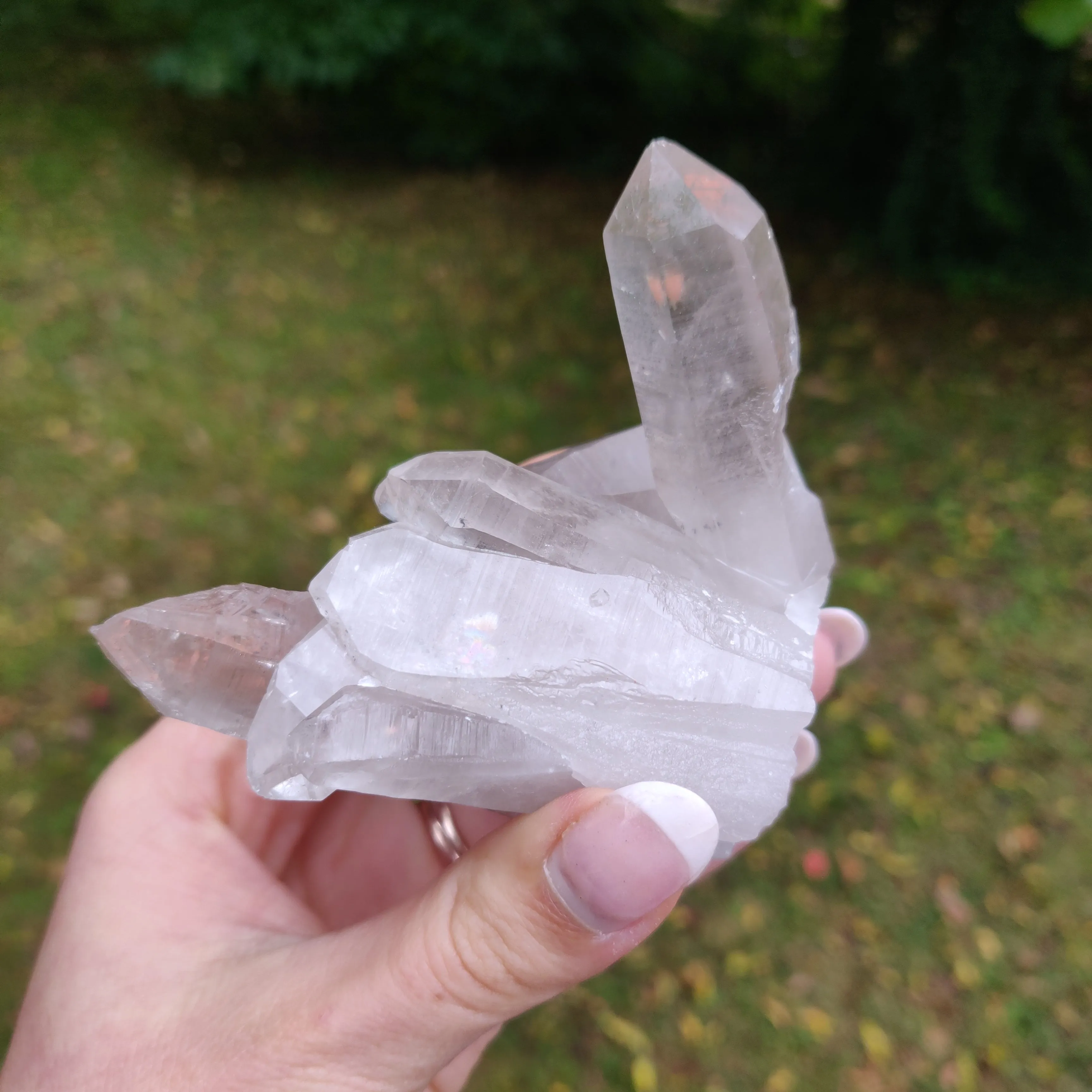 Lemurian Smoky Quartz Cluster (#12)