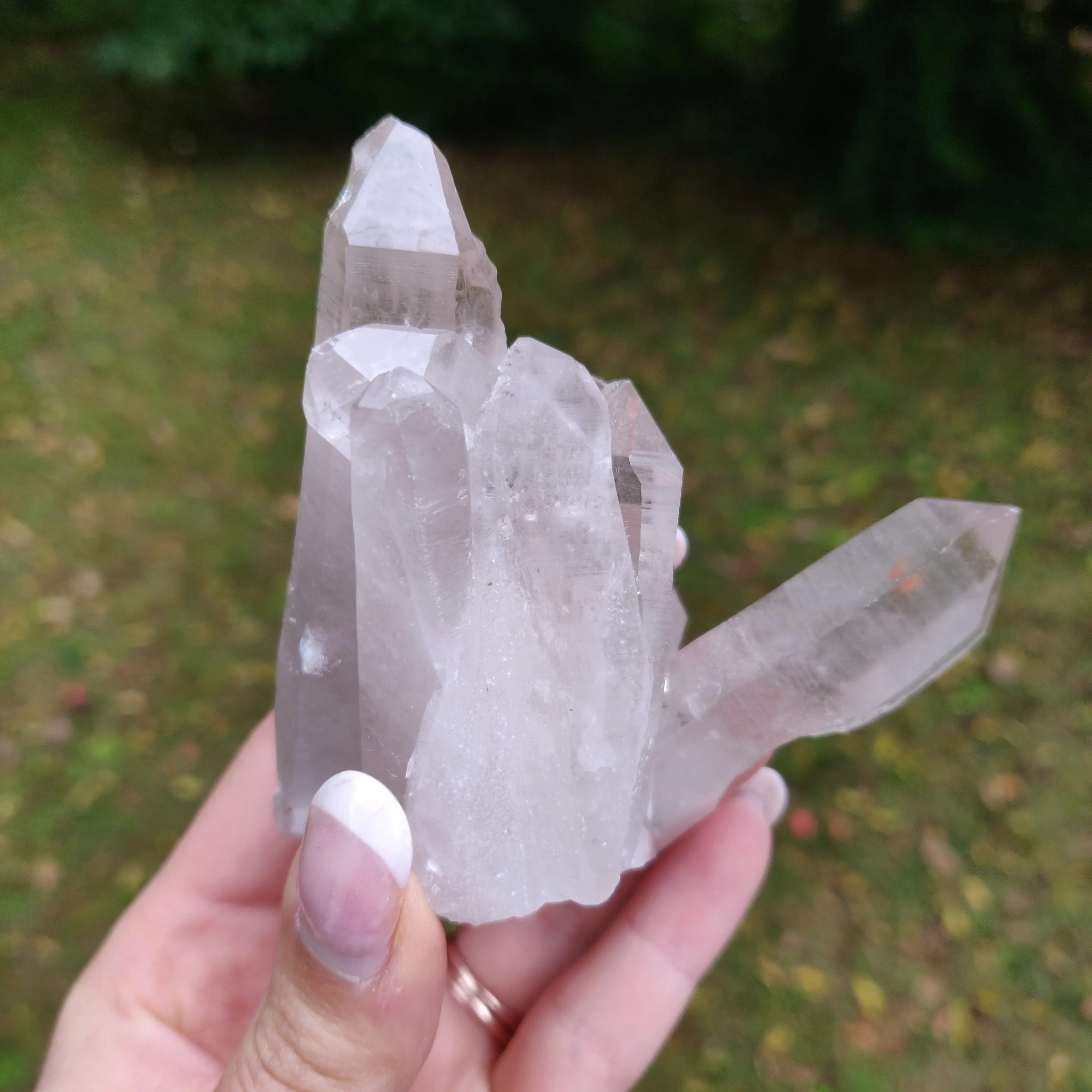Lemurian Smoky Quartz Cluster (#12)