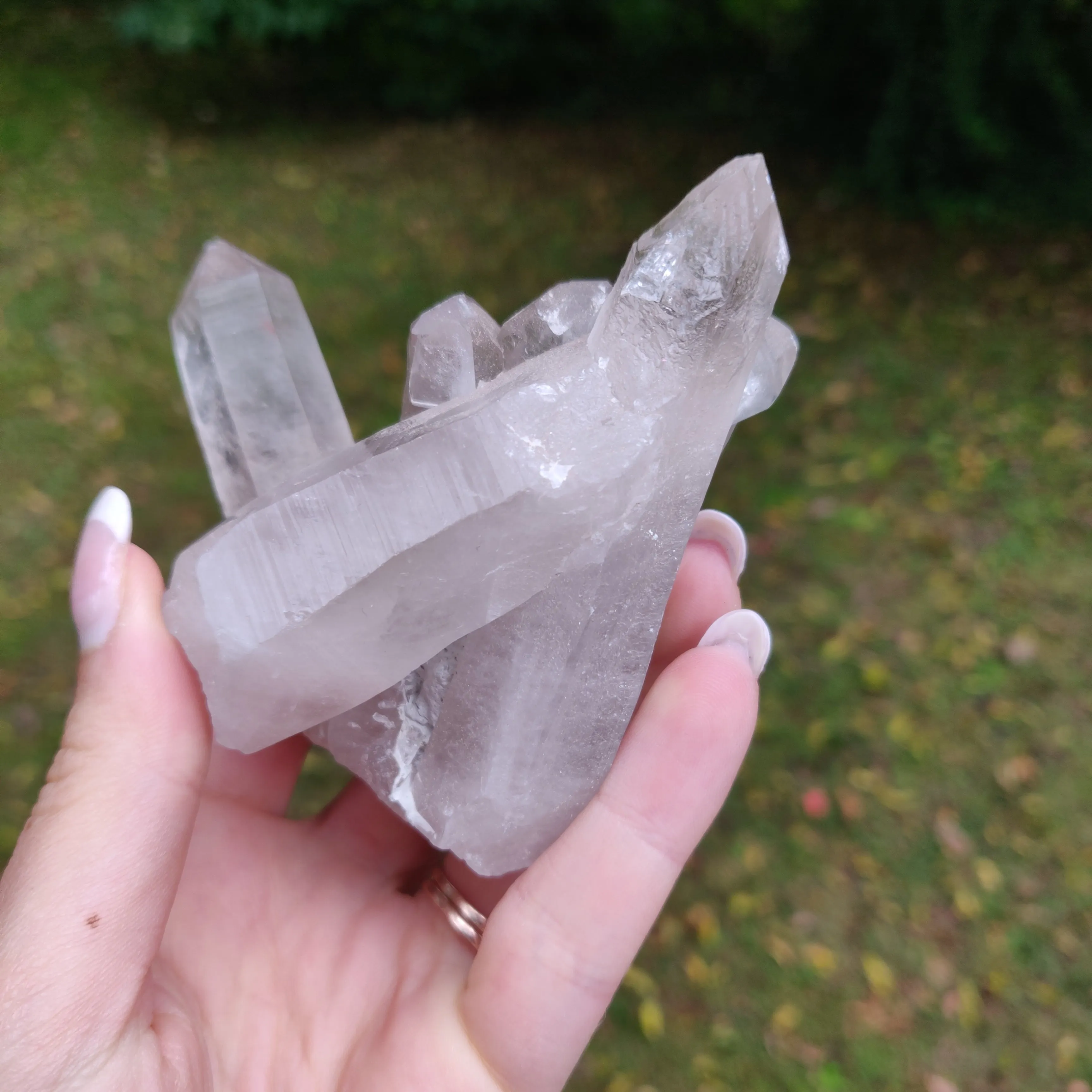 Lemurian Smoky Quartz Cluster (#12)