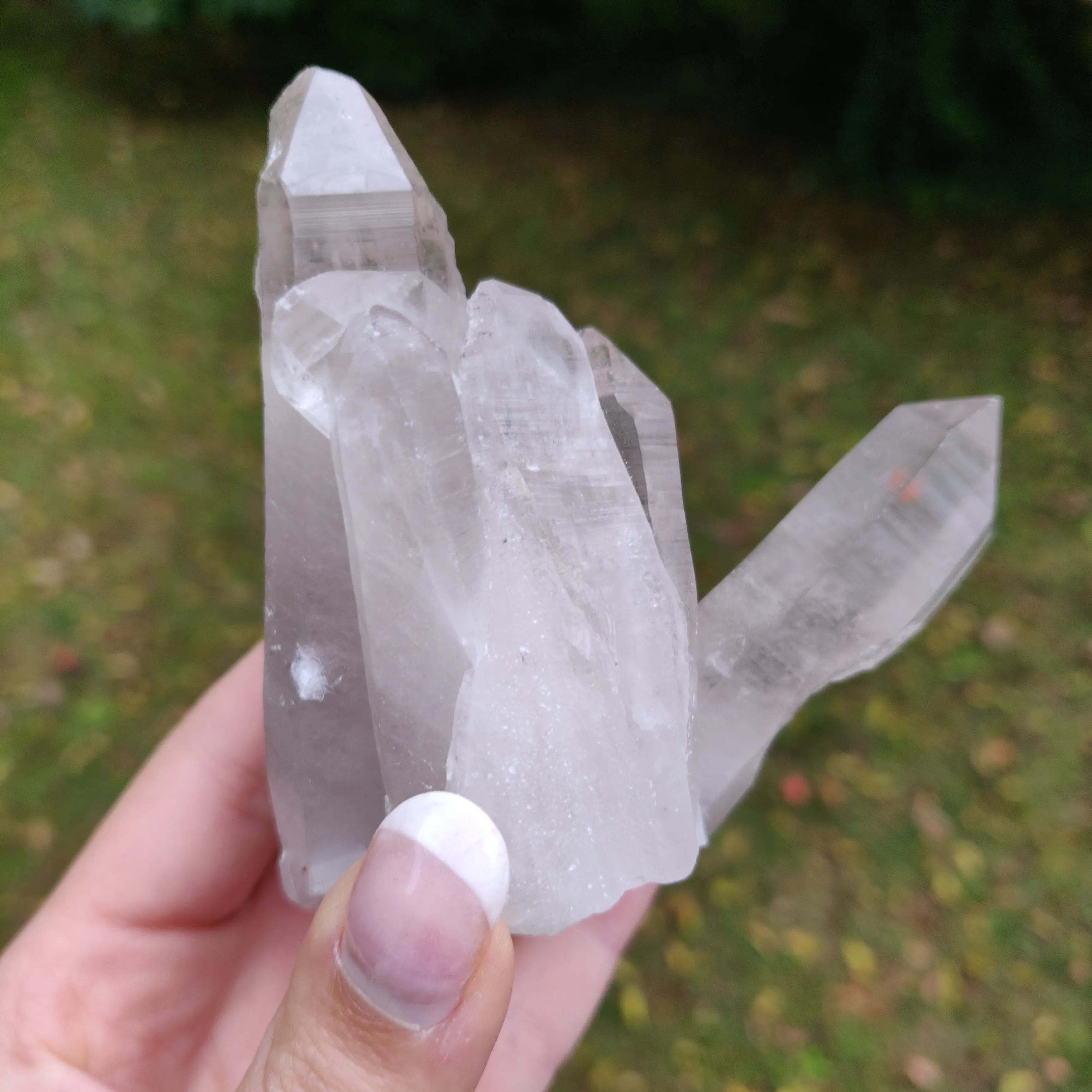 Lemurian Smoky Quartz Cluster (#12)