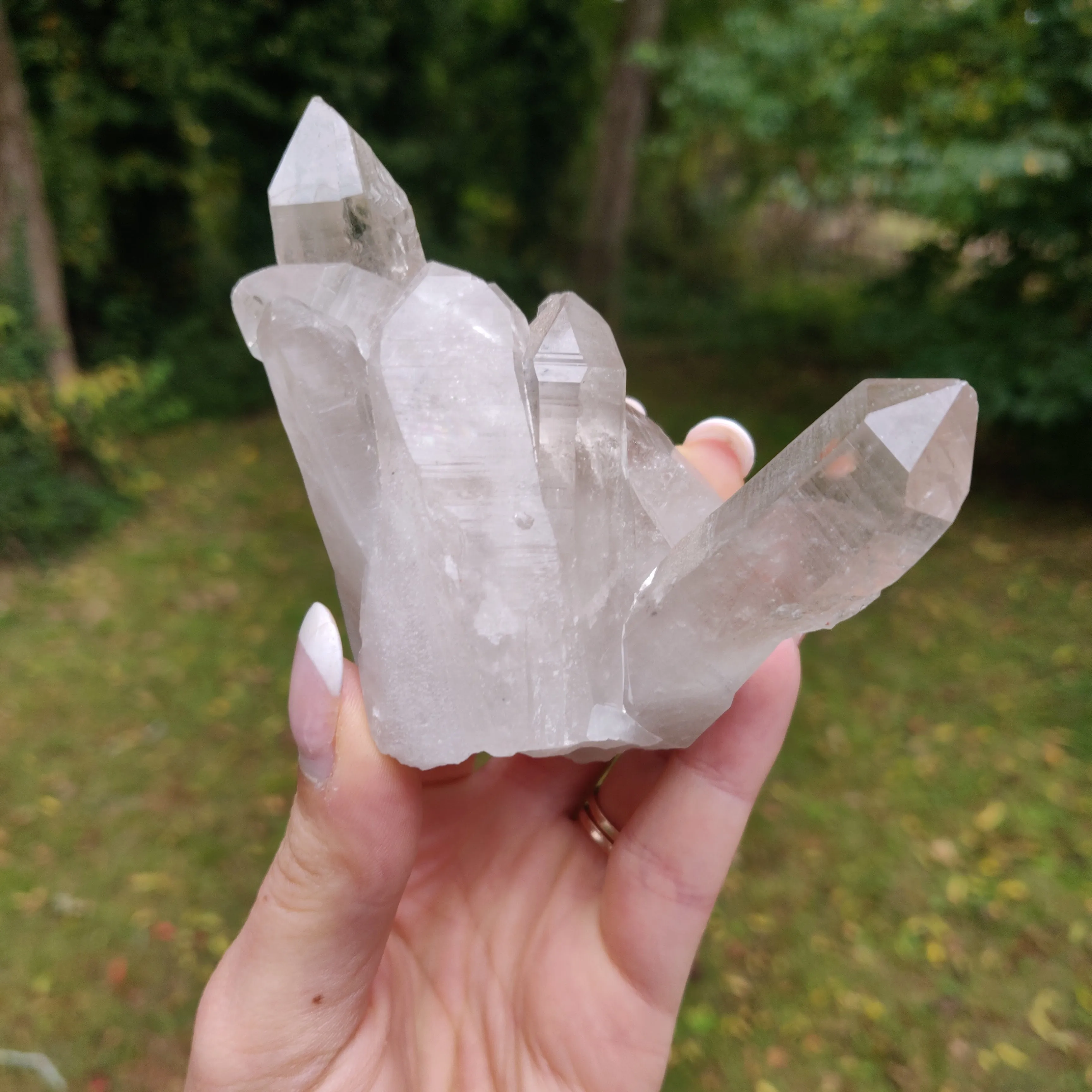 Lemurian Smoky Quartz Cluster (#12)