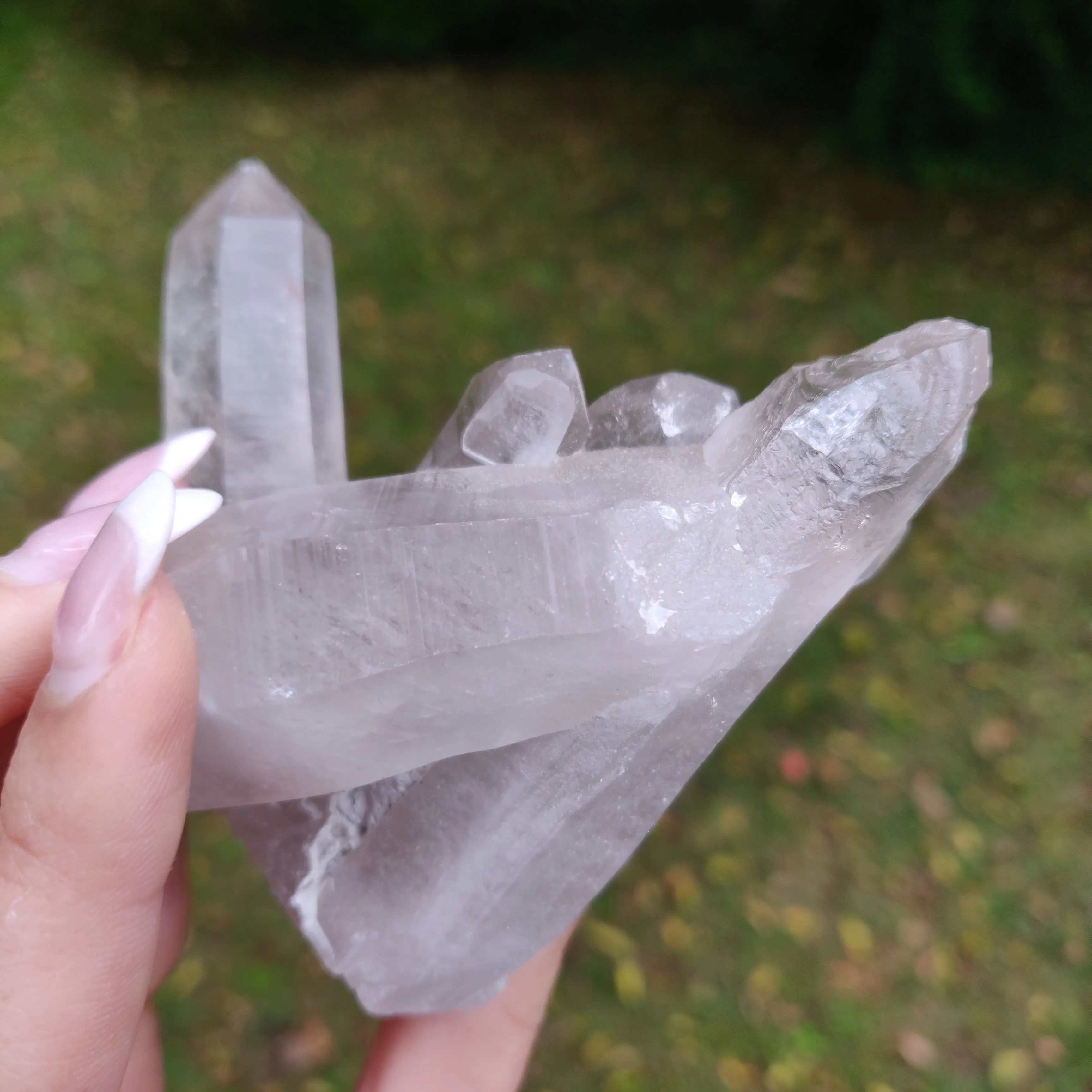 Lemurian Smoky Quartz Cluster (#12)