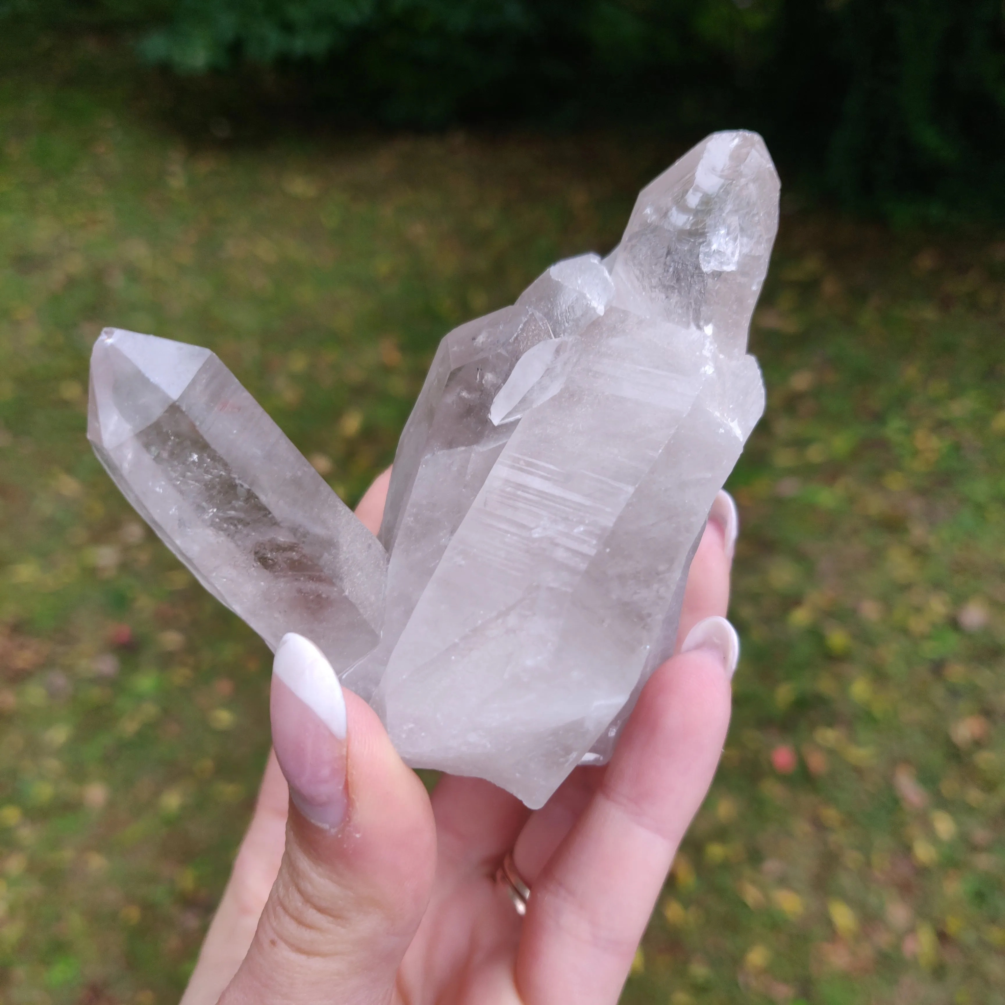 Lemurian Smoky Quartz Cluster (#12)