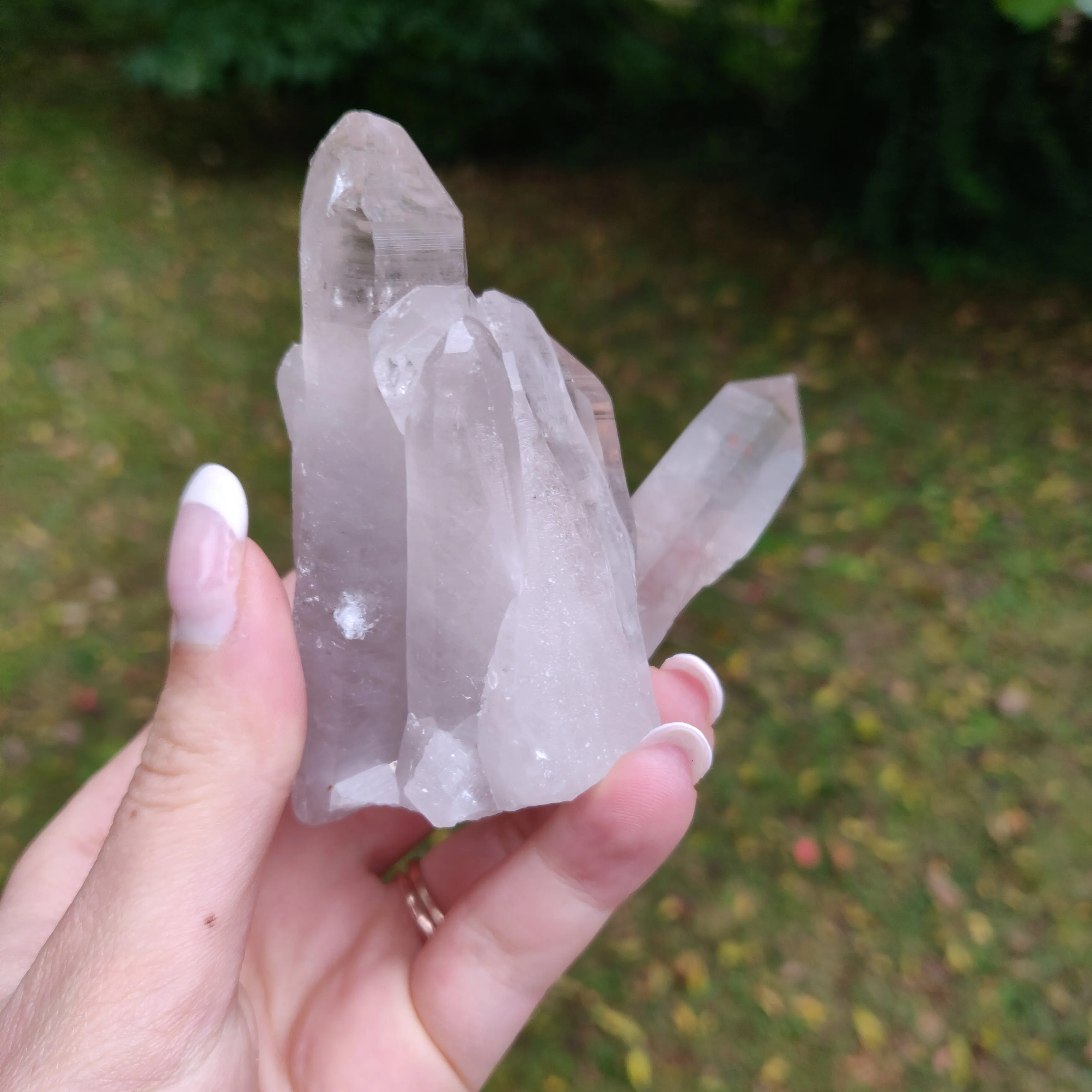 Lemurian Smoky Quartz Cluster (#12)