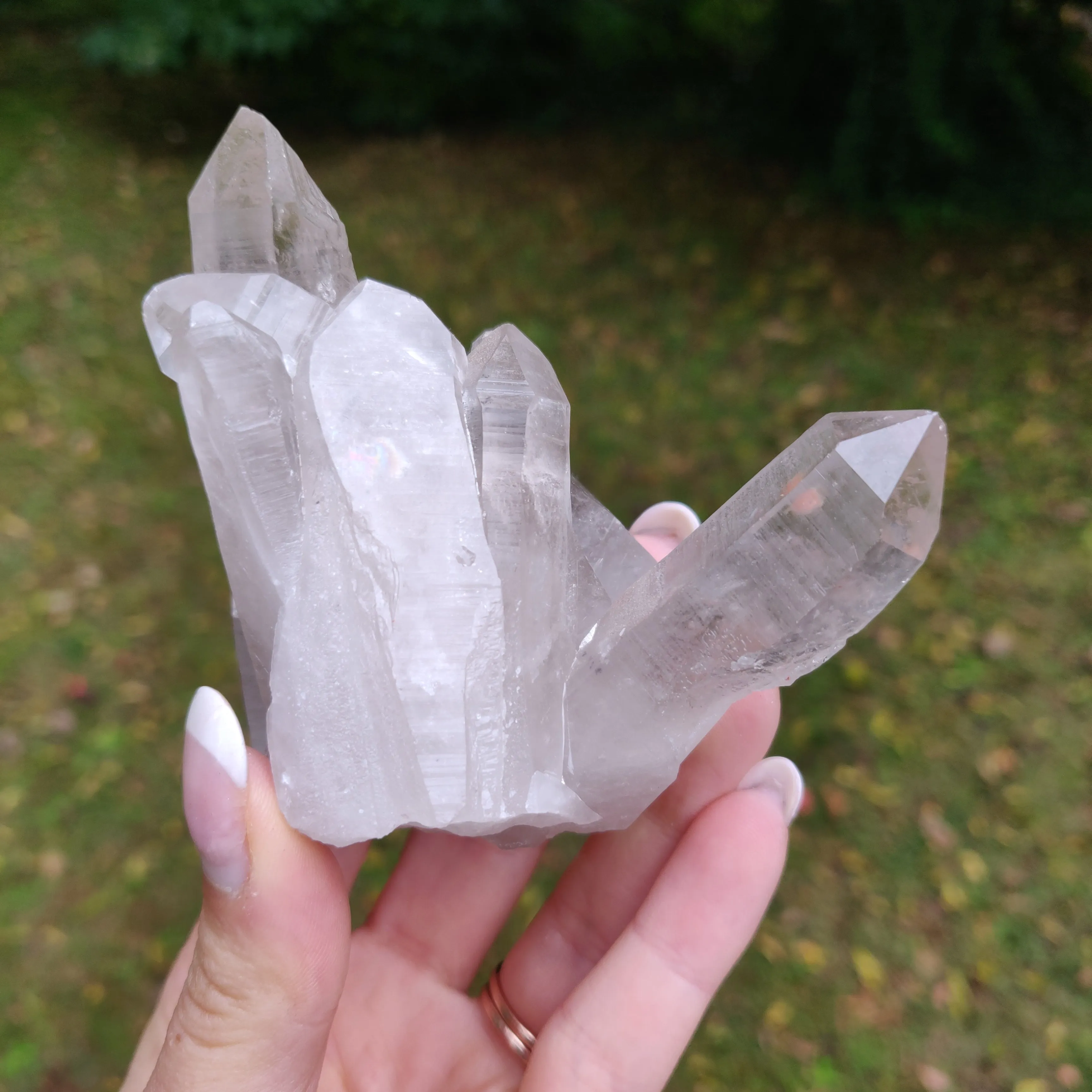 Lemurian Smoky Quartz Cluster (#12)
