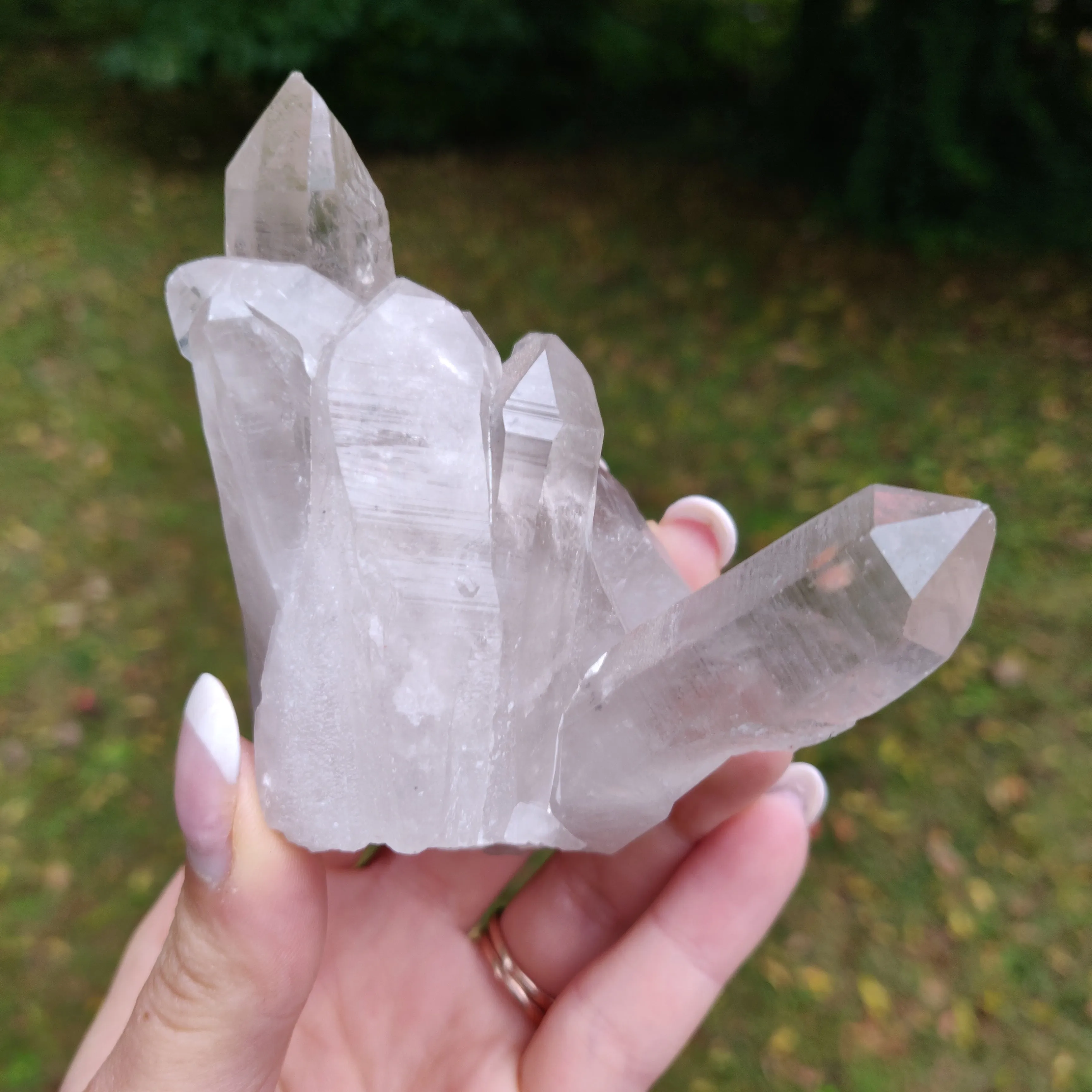 Lemurian Smoky Quartz Cluster (#12)