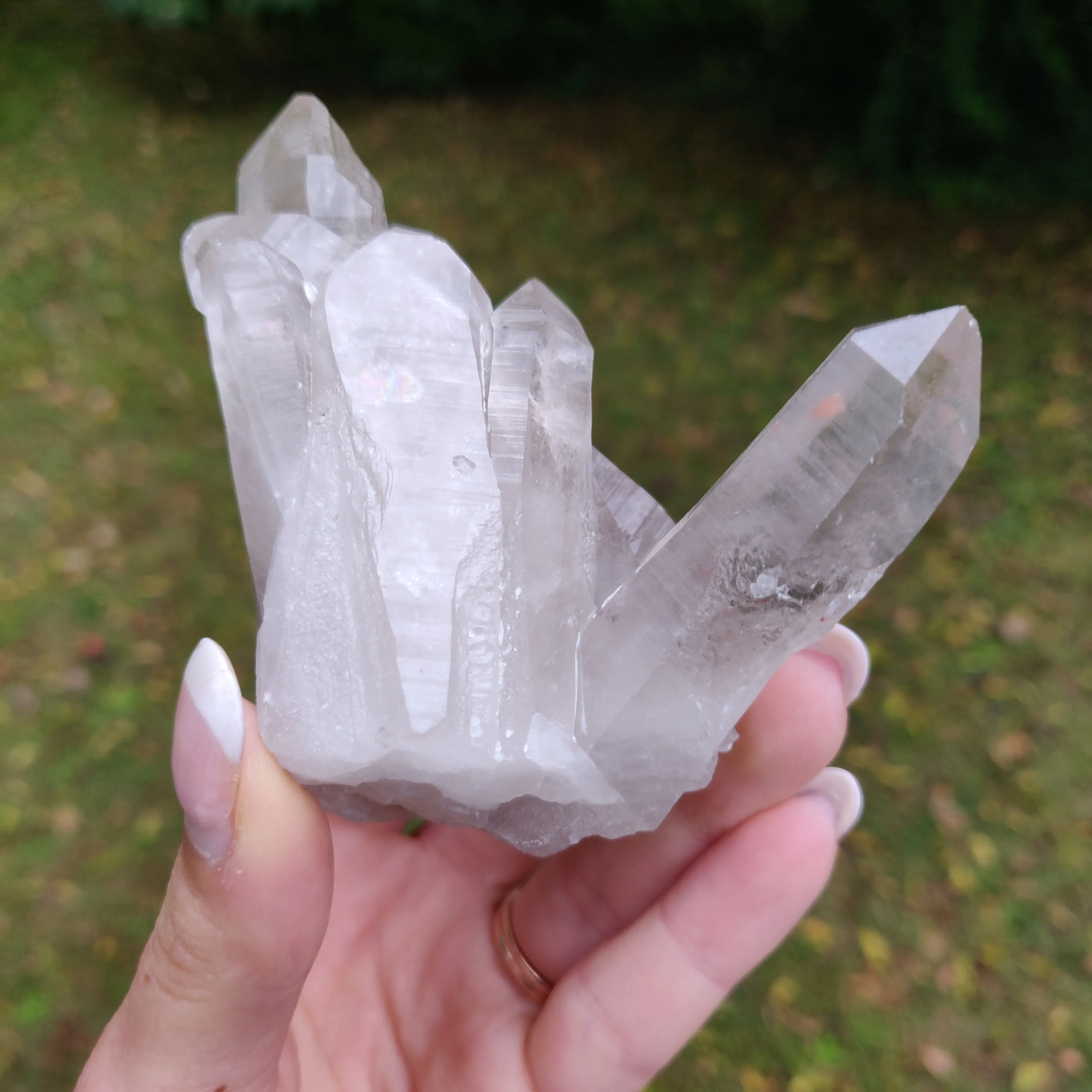Lemurian Smoky Quartz Cluster (#12)