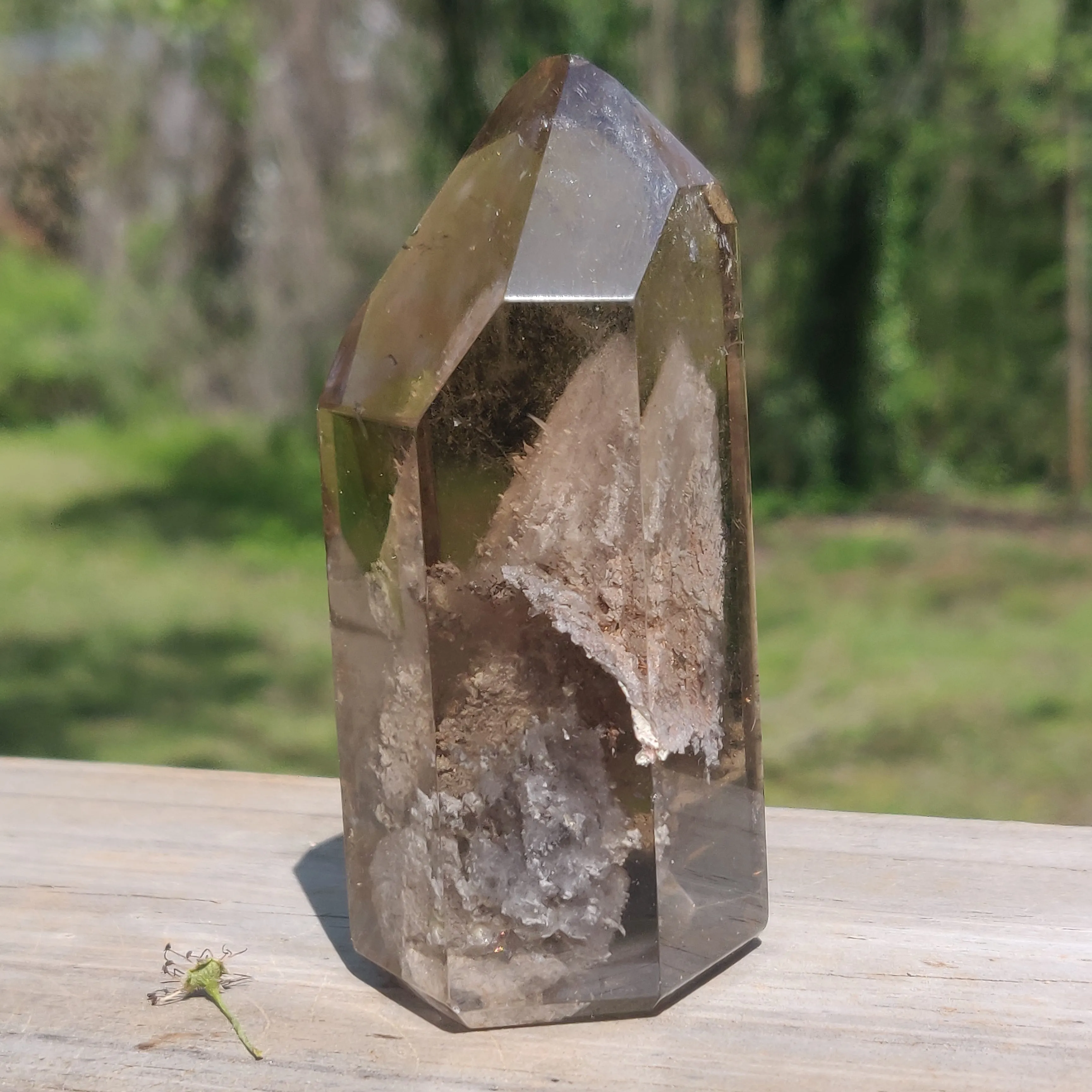 Lodolite Smoky Quartz Point (#1P)