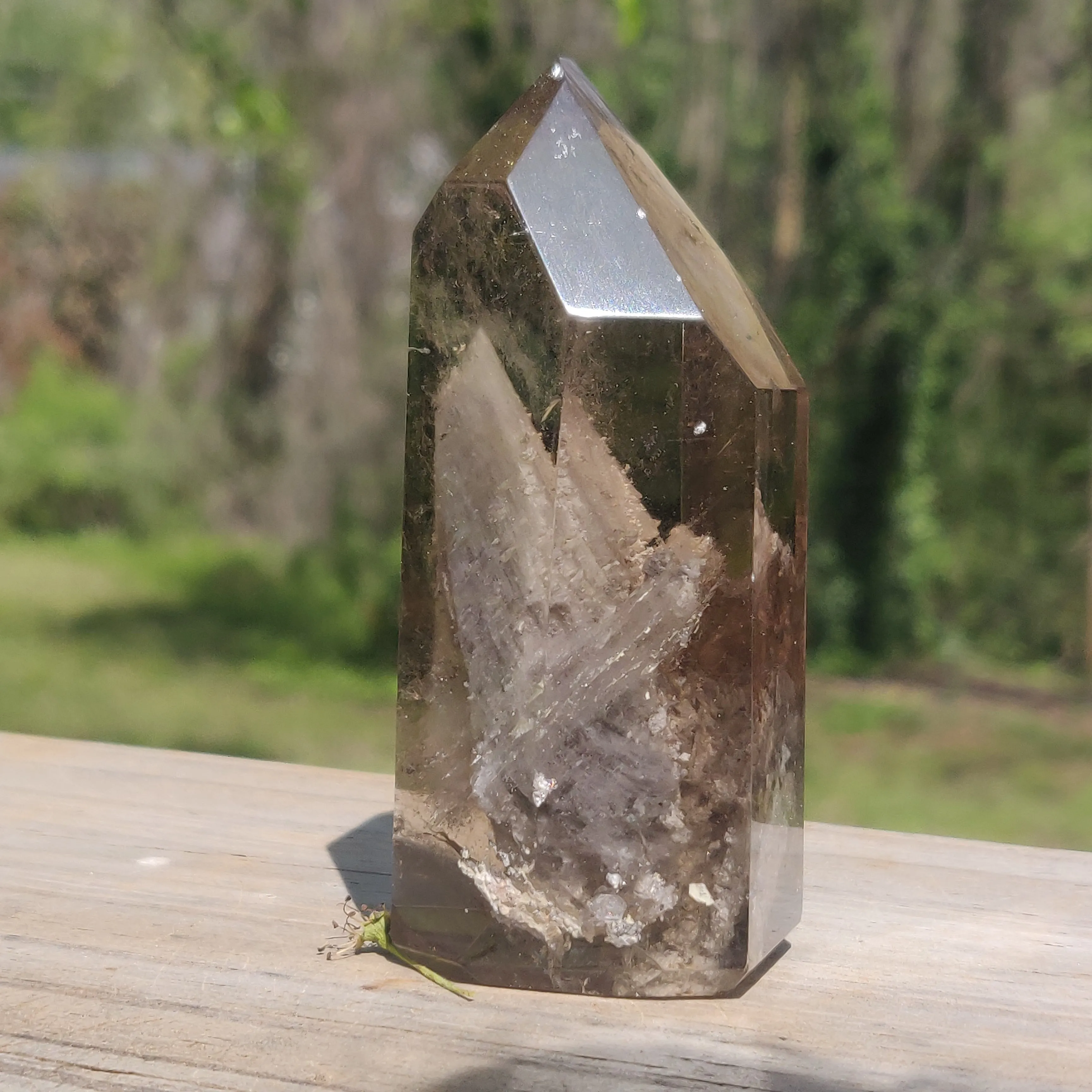 Lodolite Smoky Quartz Point (#1P)