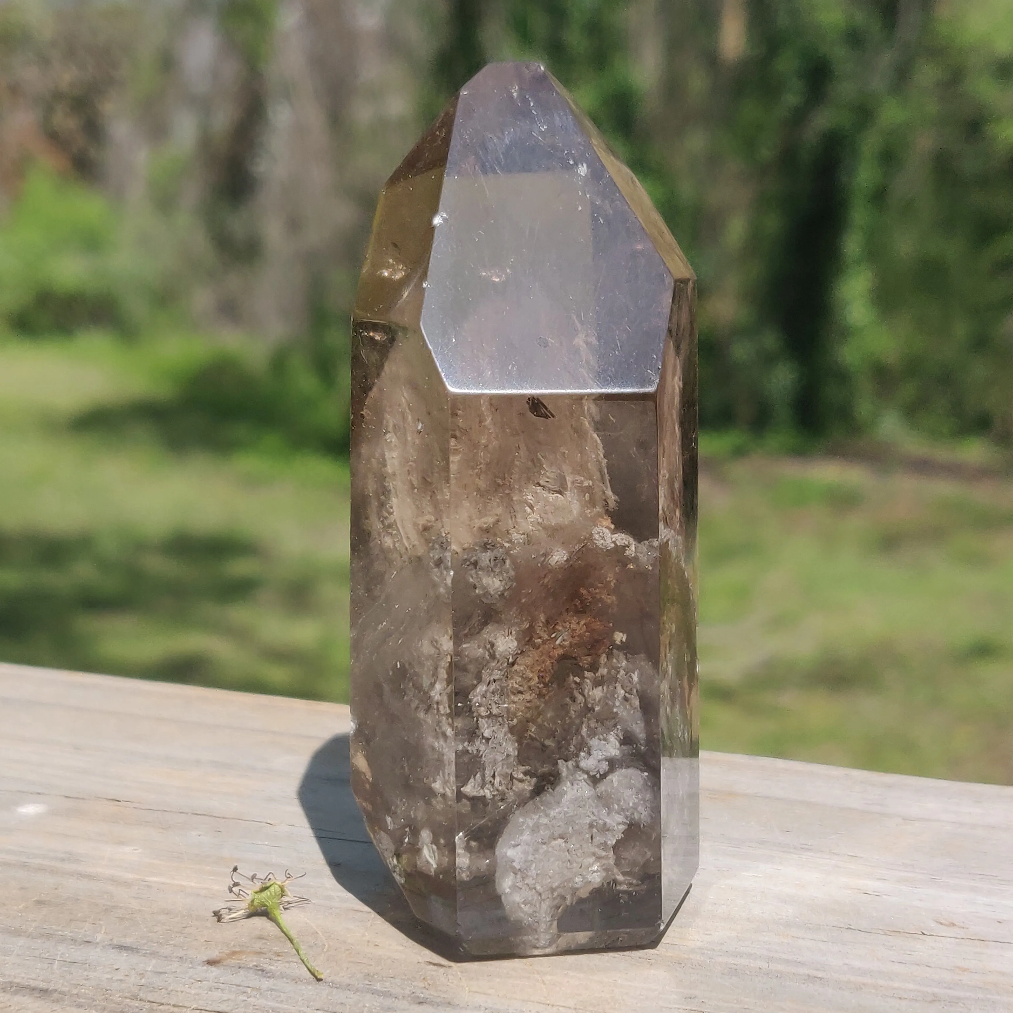 Lodolite Smoky Quartz Point (#1P)