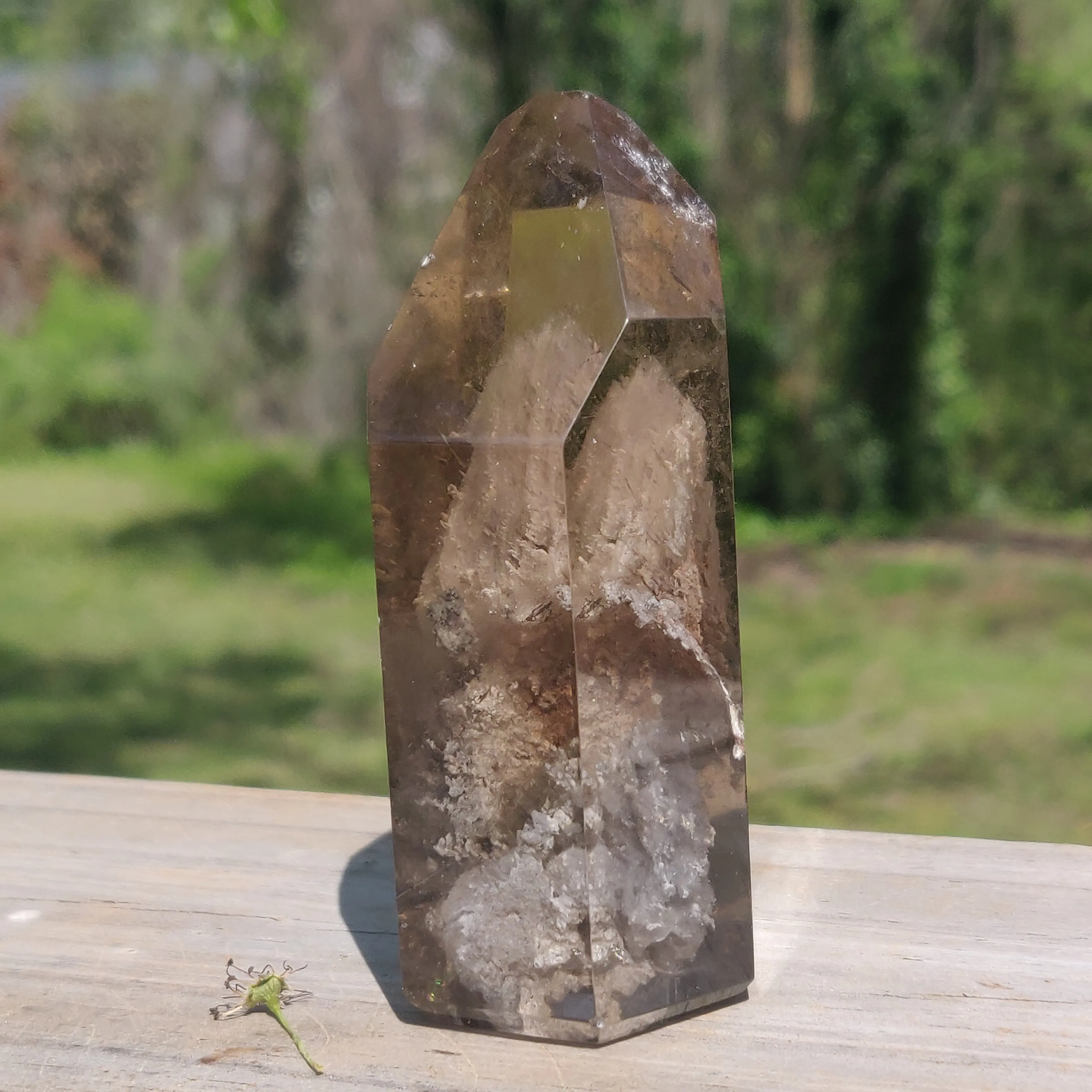 Lodolite Smoky Quartz Point (#1P)