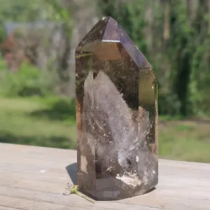 Lodolite Smoky Quartz Point (#1P)