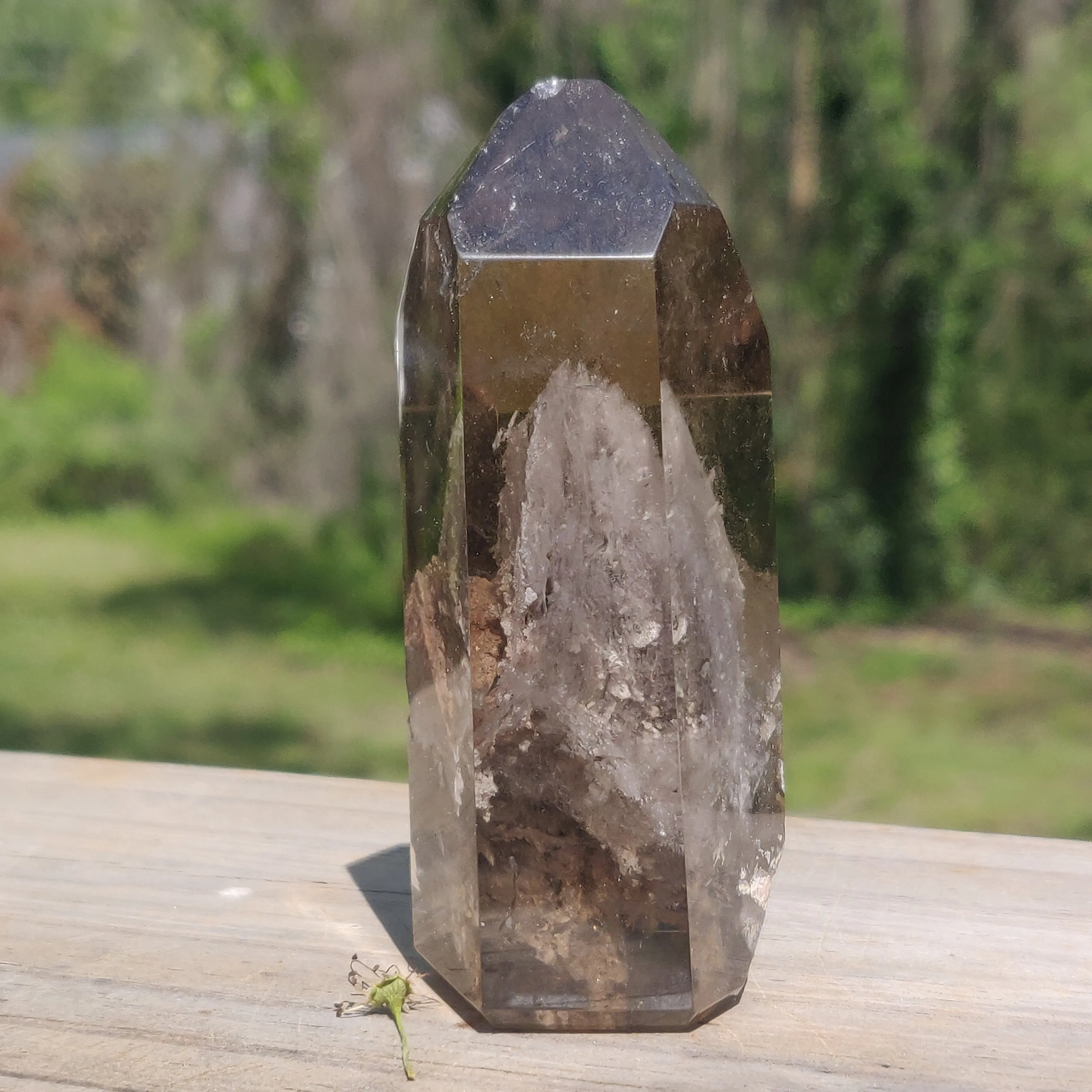 Lodolite Smoky Quartz Point (#1P)