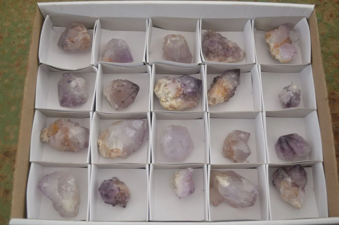 Natural Dark Purple Spirit Amethyst Crystals x 20 From Boekenhouthoek, South Africa