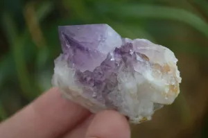 Natural Dark Purple Spirit Amethyst Crystals x 20 From Boekenhouthoek, South Africa