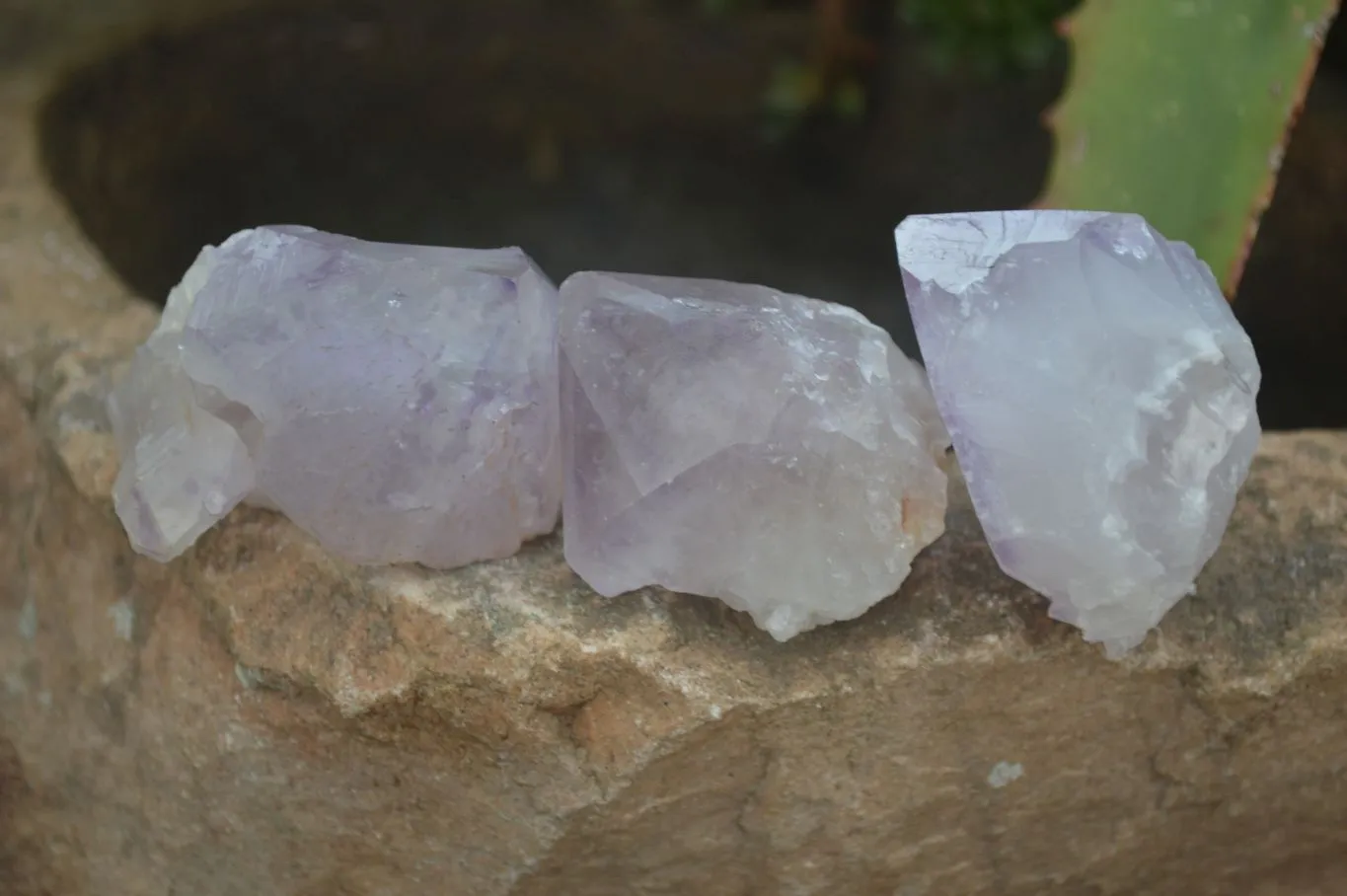 Natural Dark Purple Spirit Amethyst Crystals x 20 From Boekenhouthoek, South Africa