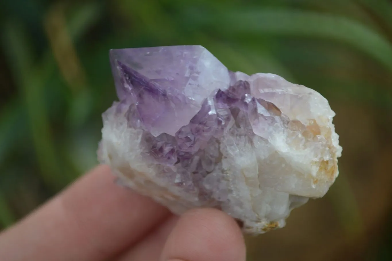 Natural Dark Purple Spirit Amethyst Crystals x 20 From Boekenhouthoek, South Africa