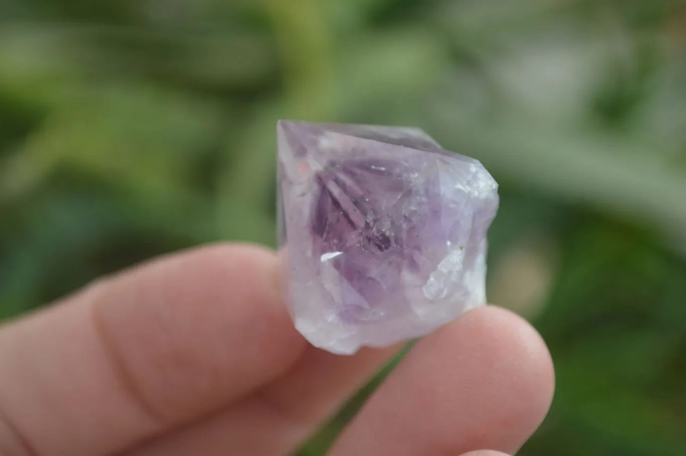 Natural Dark Purple Spirit Amethyst Crystals x 20 From Boekenhouthoek, South Africa