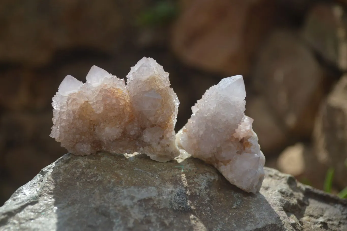 Natural Limonite Spirit Quartz Clusters x 12 From Boekenhouthoek, South Africa