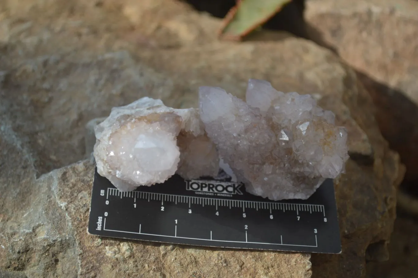 Natural Limonite Spirit Quartz Clusters x 12 From Boekenhouthoek, South Africa