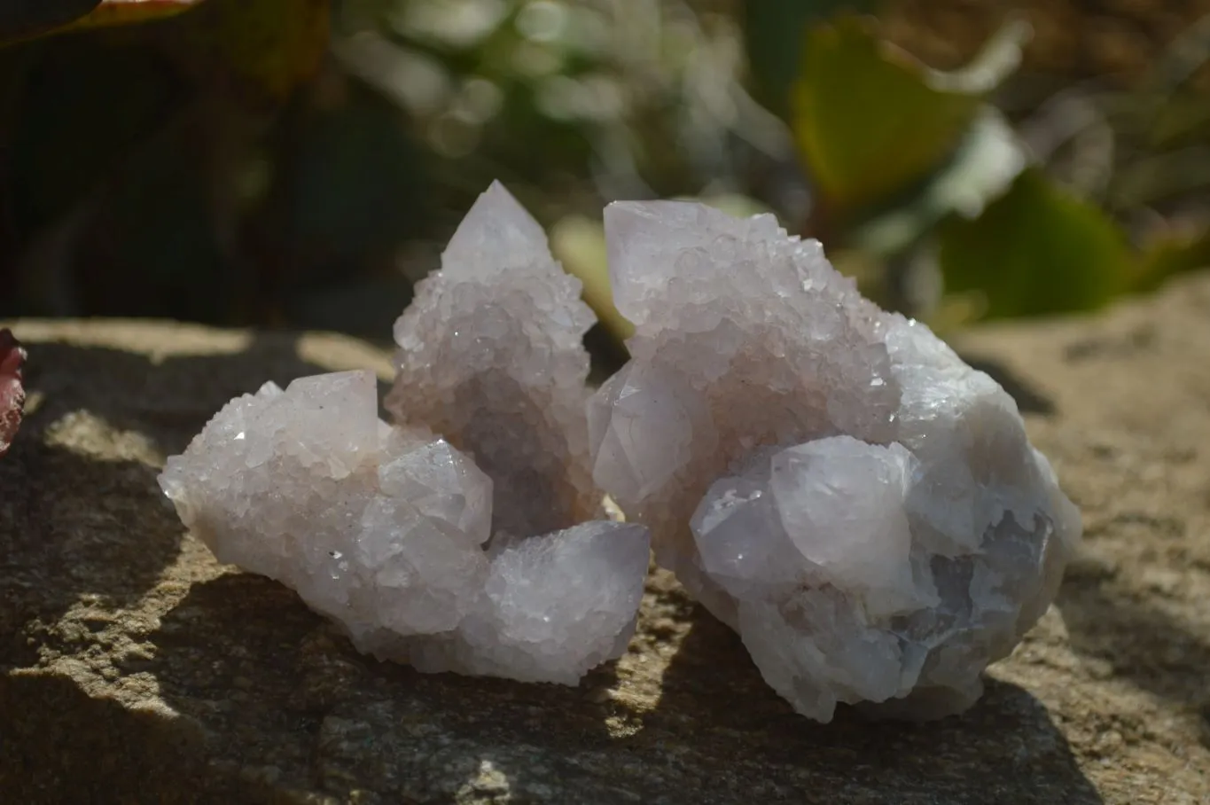 Natural Limonite Spirit Quartz Clusters x 12 From Boekenhouthoek, South Africa