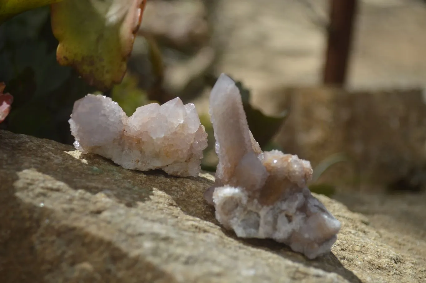 Natural Limonite Spirit Quartz Clusters x 35 From Boekenhouthoek, South Africa