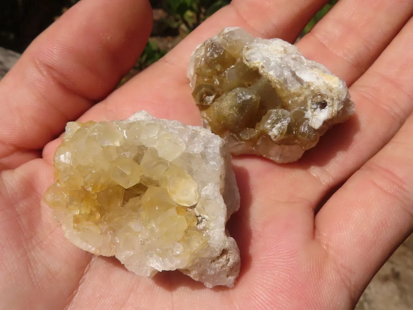 Natural Mini Golden Limonite Quartz Clusters x 70 From Zambia
