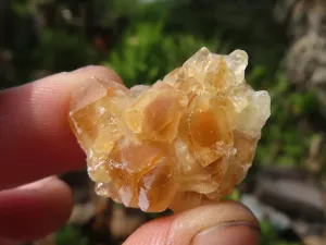 Natural Mini Golden Limonite Quartz Clusters x 70 From Zambia