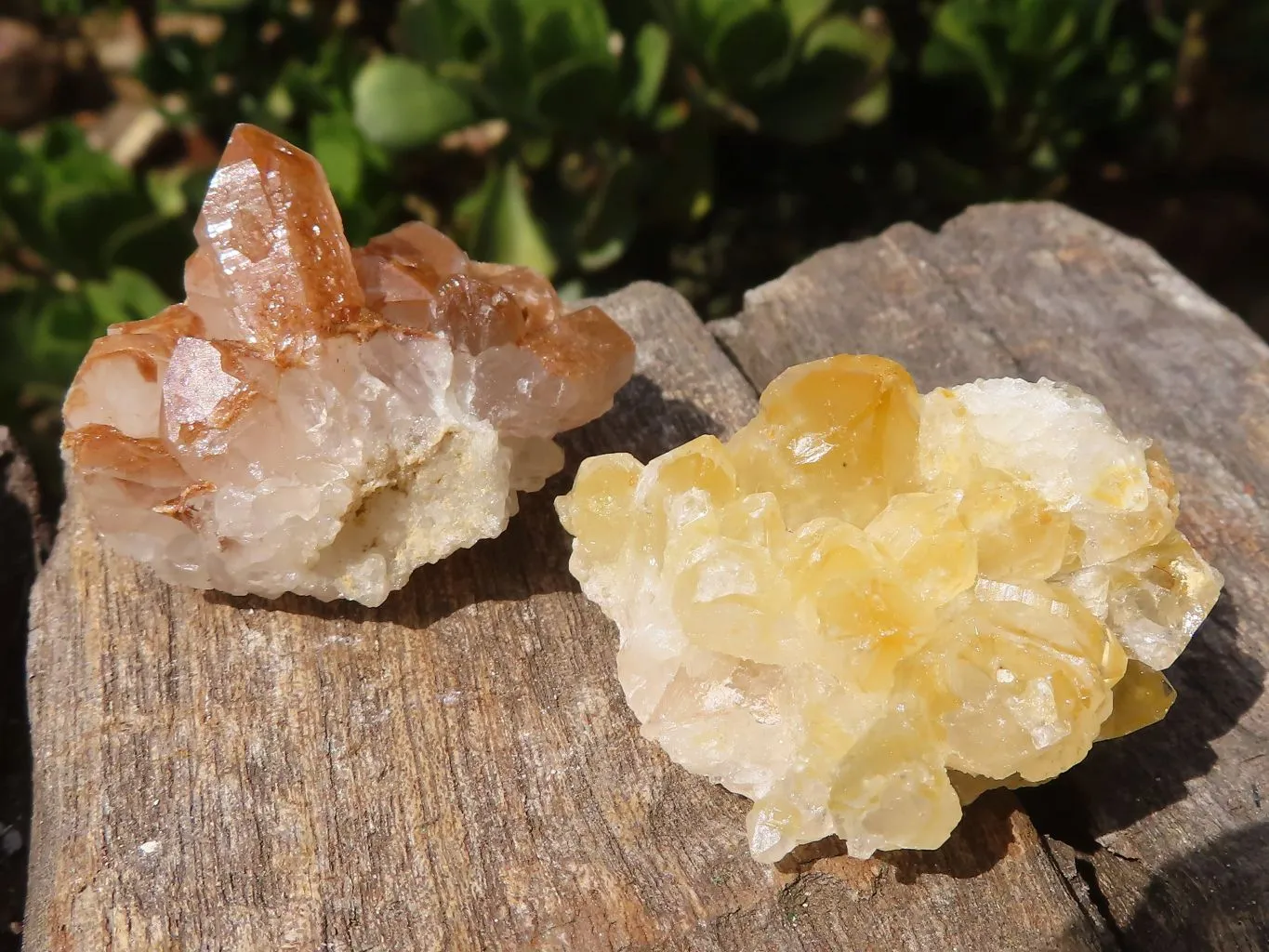 Natural Mini Golden Limonite Quartz Clusters x 70 From Zambia