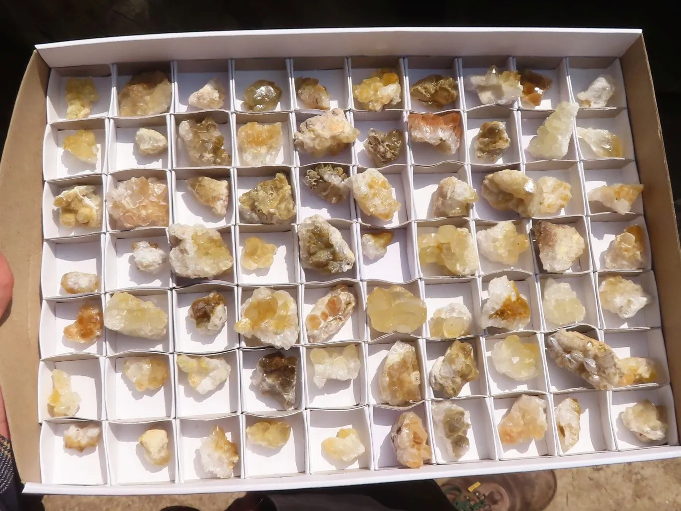 Natural Mini Golden Limonite Quartz Clusters x 70 From Zambia