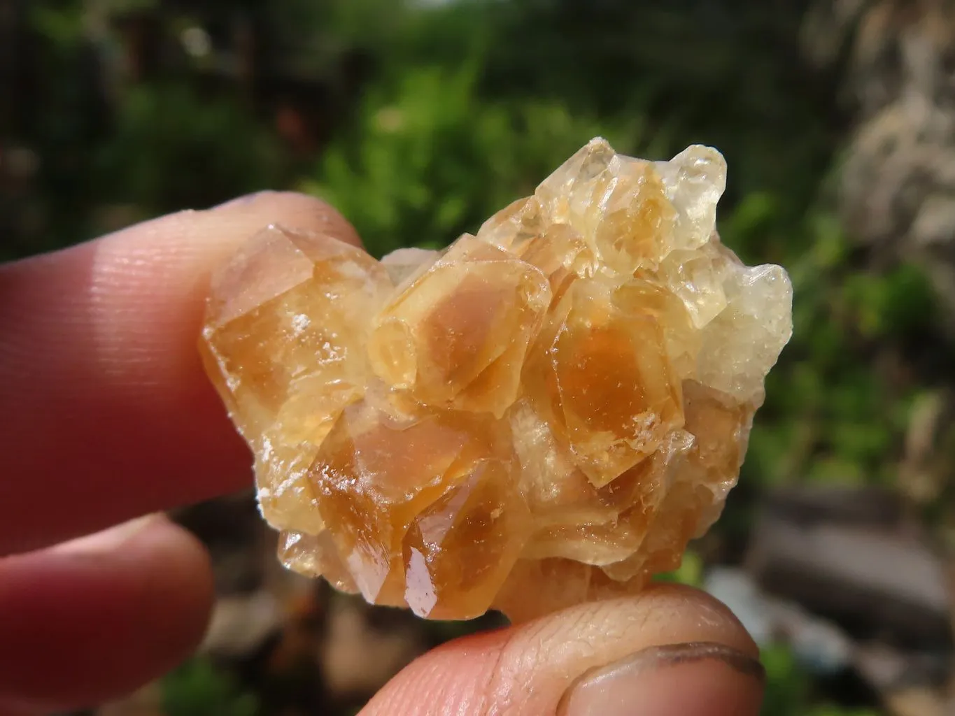 Natural Mini Golden Limonite Quartz Clusters x 70 From Zambia