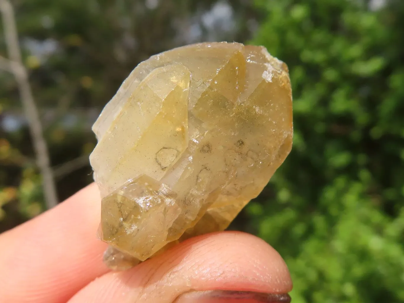 Natural Mini Golden Limonite Quartz Clusters x 70 From Zambia