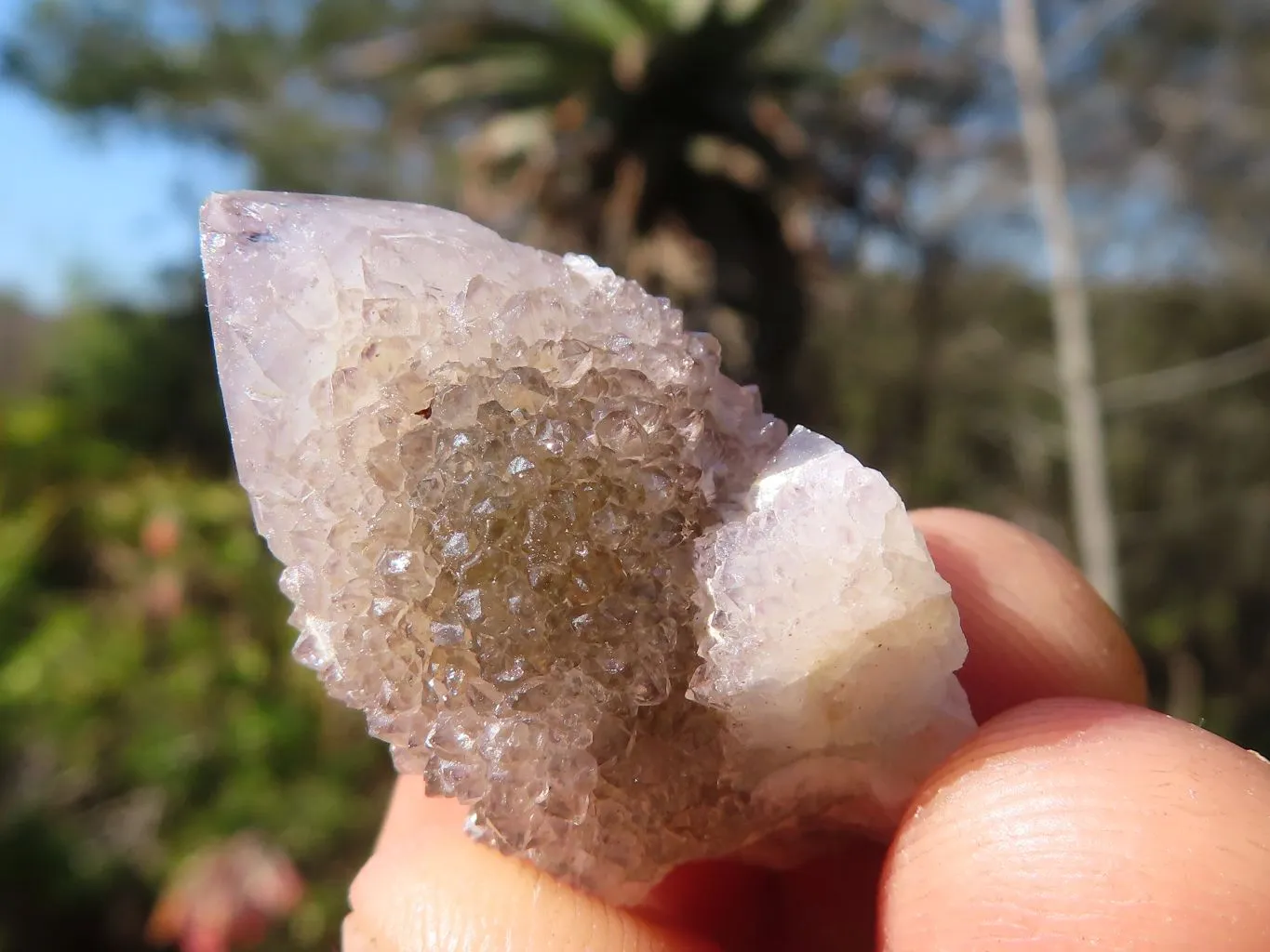 Natural Mini Mixed Spirit Amethyst Quartz Crystals x 70 From Boekenhouthoek, South Africa