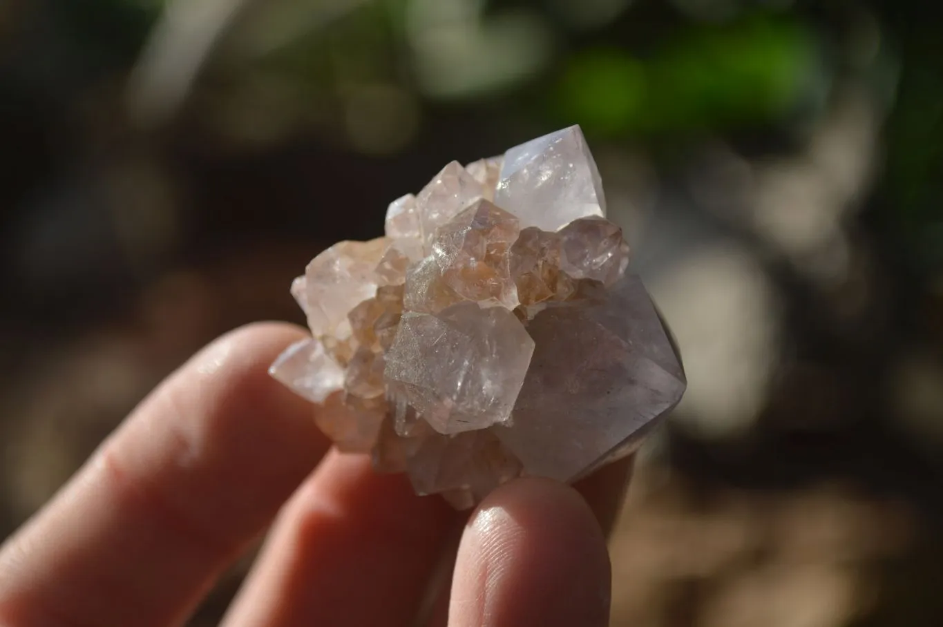 Natural Mixed Spirit Amethyst Quartz Crystals x 35 From Boekenhouthoek, South Africa
