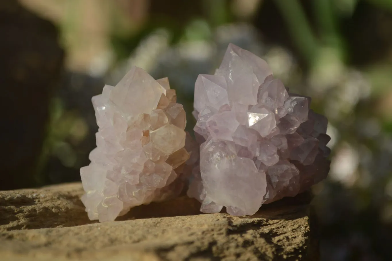 Natural Mixed Spirit Amethyst Quartz Crystals x 35 From Boekenhouthoek, South Africa