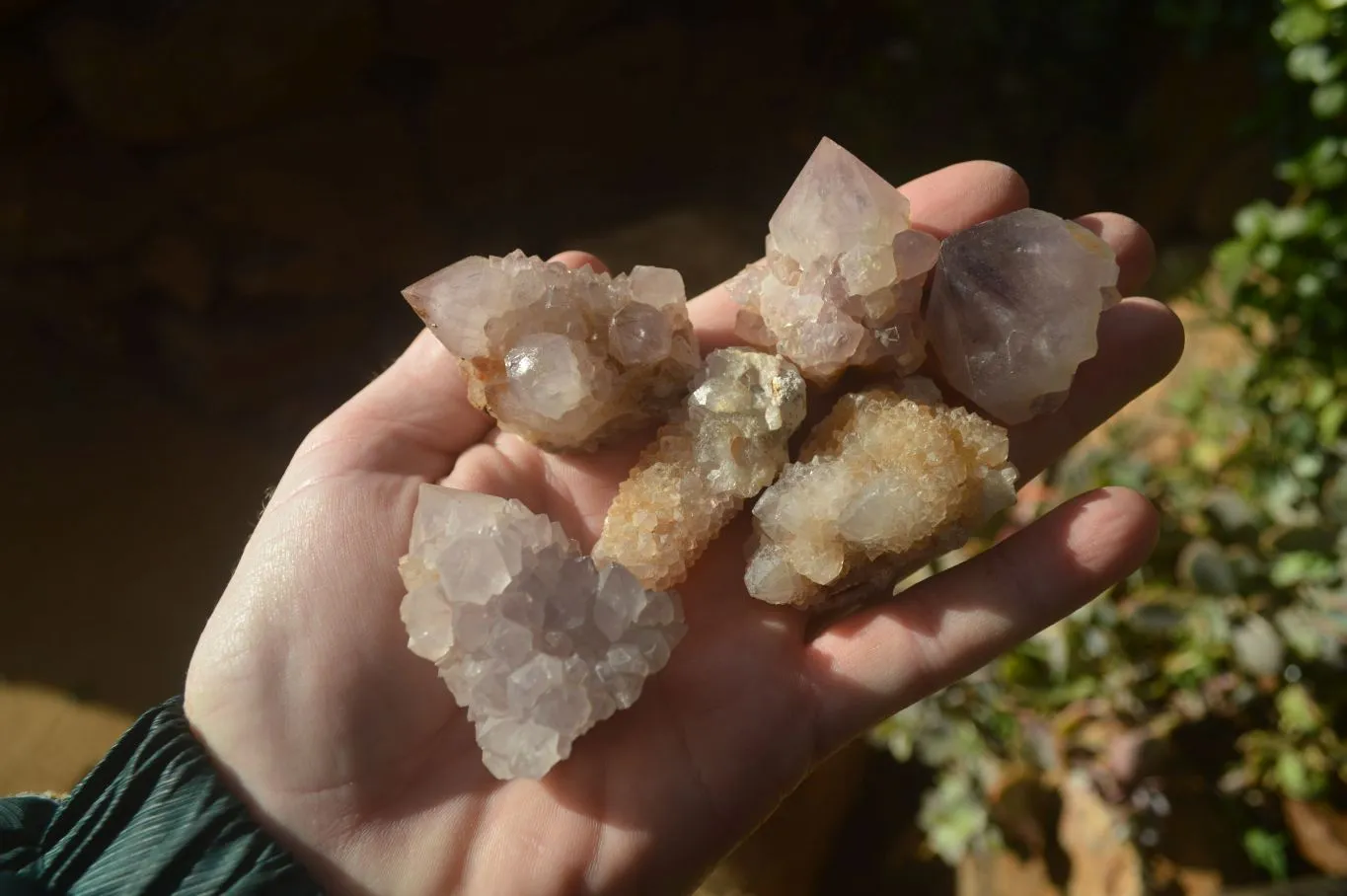 Natural Mixed Spirit Amethyst Quartz Crystals x 35 From Boekenhouthoek, South Africa