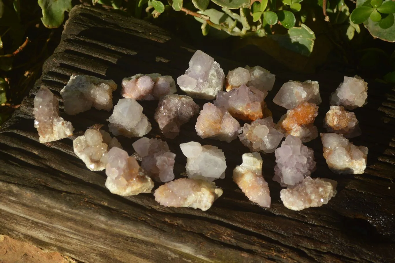 Natural Mixed Spirit Amethyst Quartz Crystals x 35 From Boekenhouthoek, South Africa
