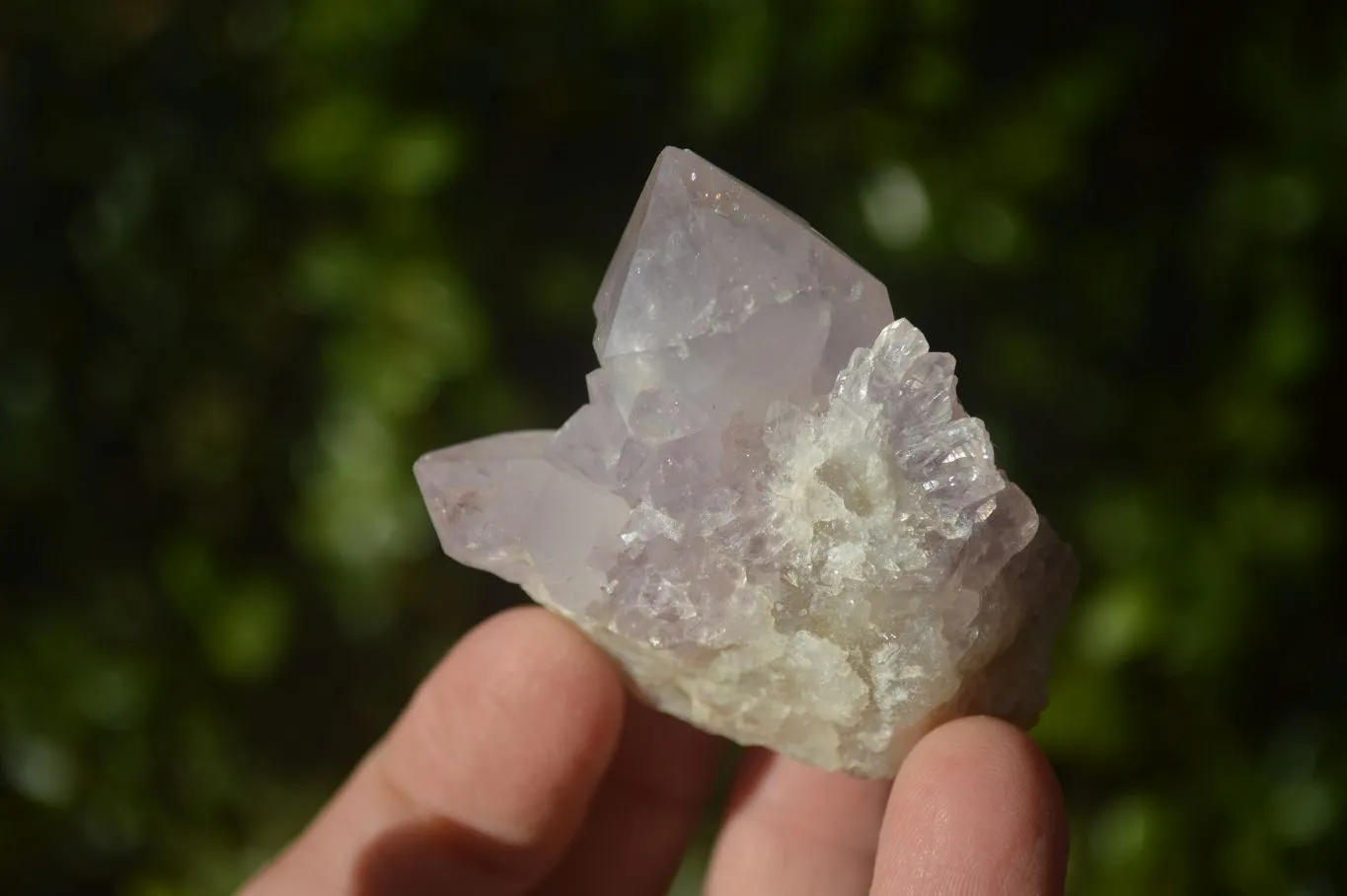 Natural Mixed Spirit Amethyst Quartz Crystals x 35 From Boekenhouthoek, South Africa