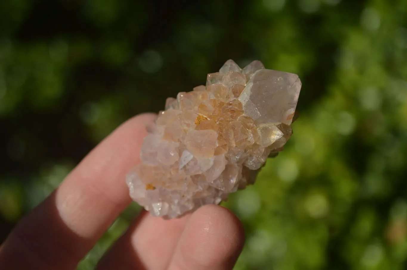 Natural Mixed Spirit Amethyst Quartz Crystals x 35 From Boekenhouthoek, South Africa