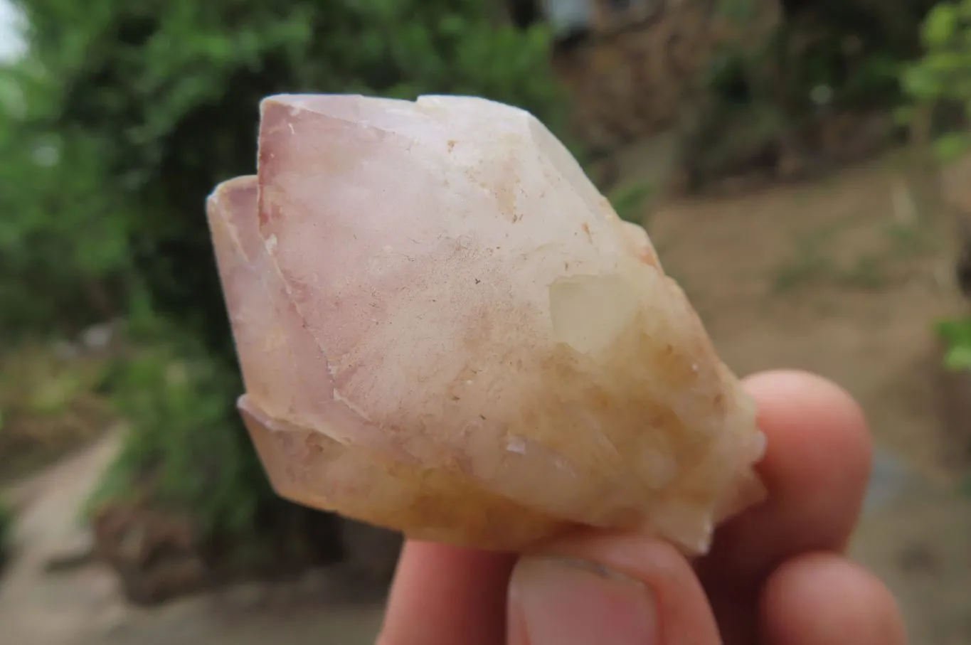 Natural Pineapple Candle Quartz Crystals x 35 From Antsirabe, Madagascar