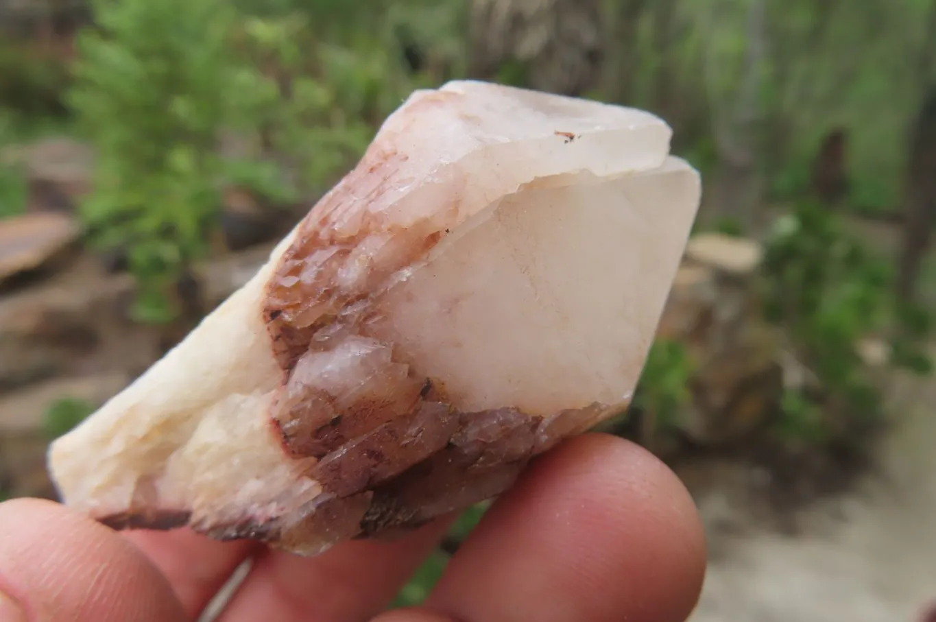 Natural Pineapple Candle Quartz Crystals x 35 From Antsirabe, Madagascar