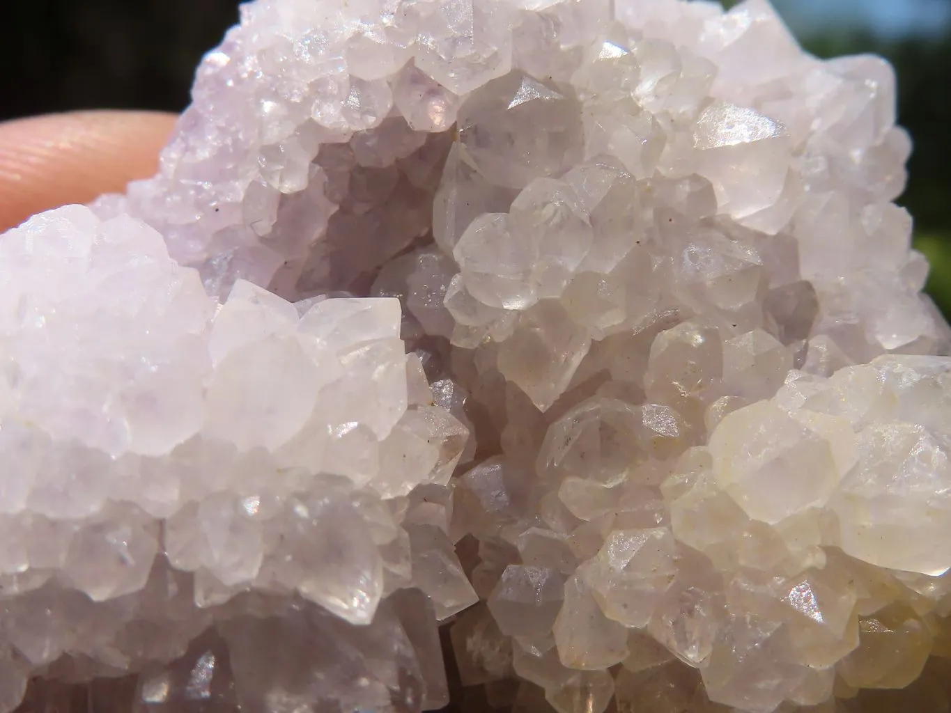 Natural Small Mixed Spirit Quartz Clusters x 24 From Boekenhouthoek, South Africa