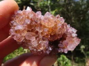Natural Small Mixed Spirit Quartz Clusters x 24 From Boekenhouthoek, South Africa