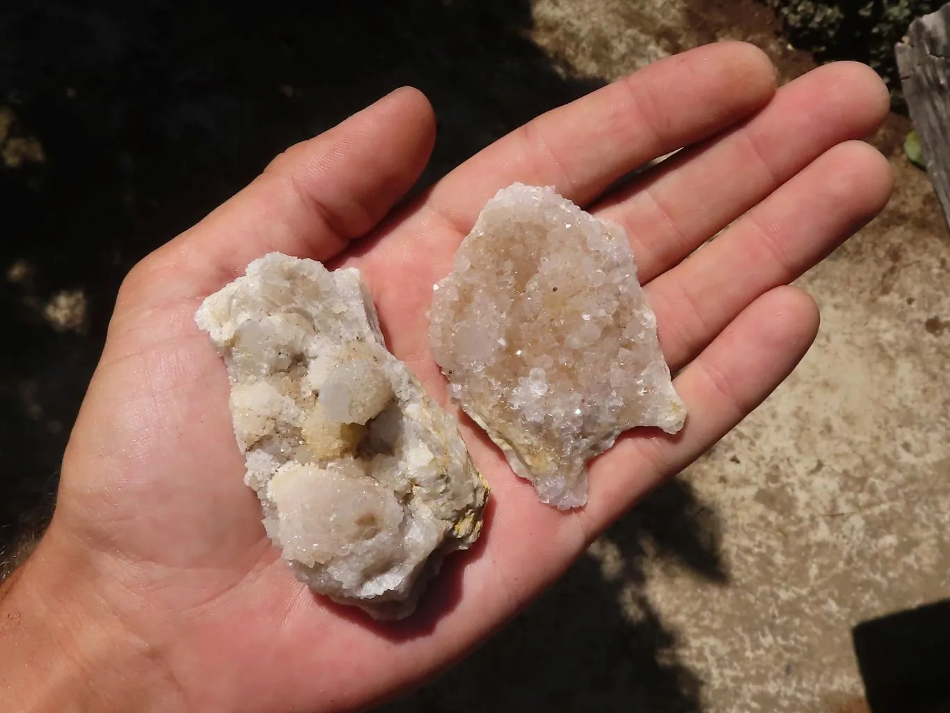 Natural Small Mixed Spirit Quartz Clusters x 24 From Boekenhouthoek, South Africa