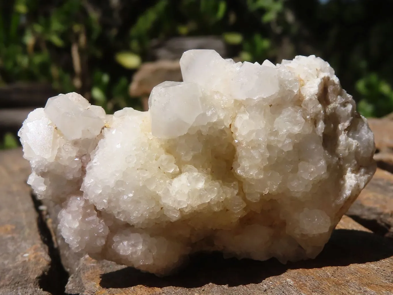 Natural Small Mixed Spirit Quartz Clusters x 24 From Boekenhouthoek, South Africa
